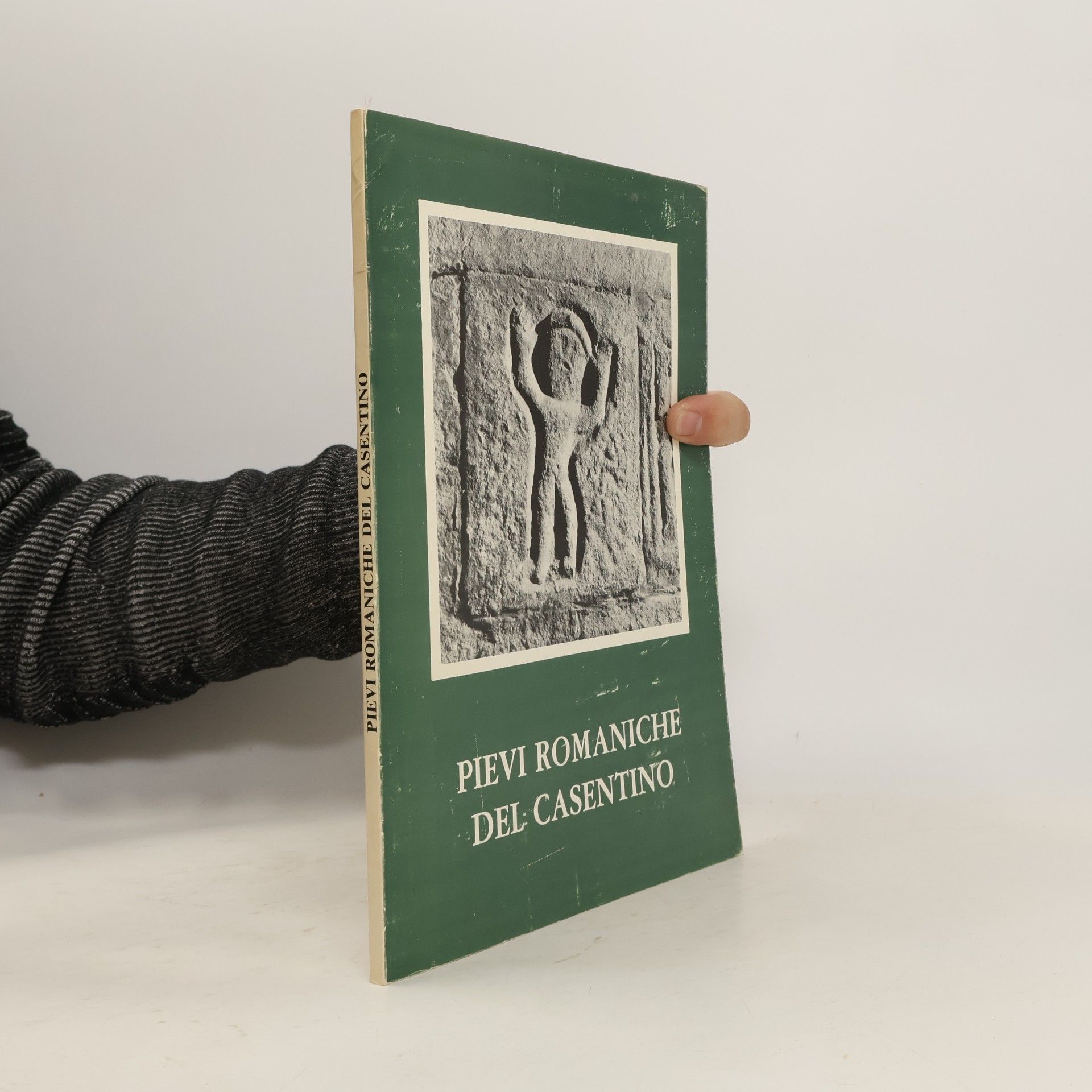 Autorenkollektiv Pievi romaniche del Casentino