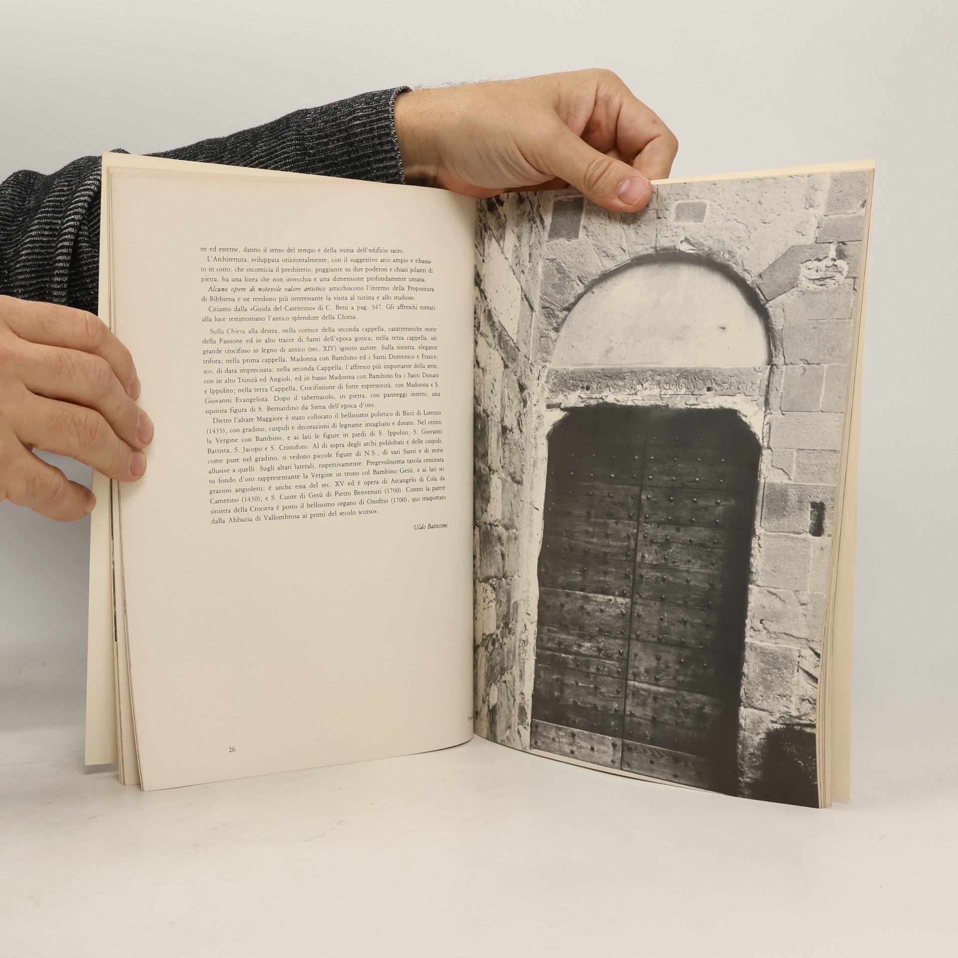 Autorenkollektiv Pievi romaniche del Casentino
