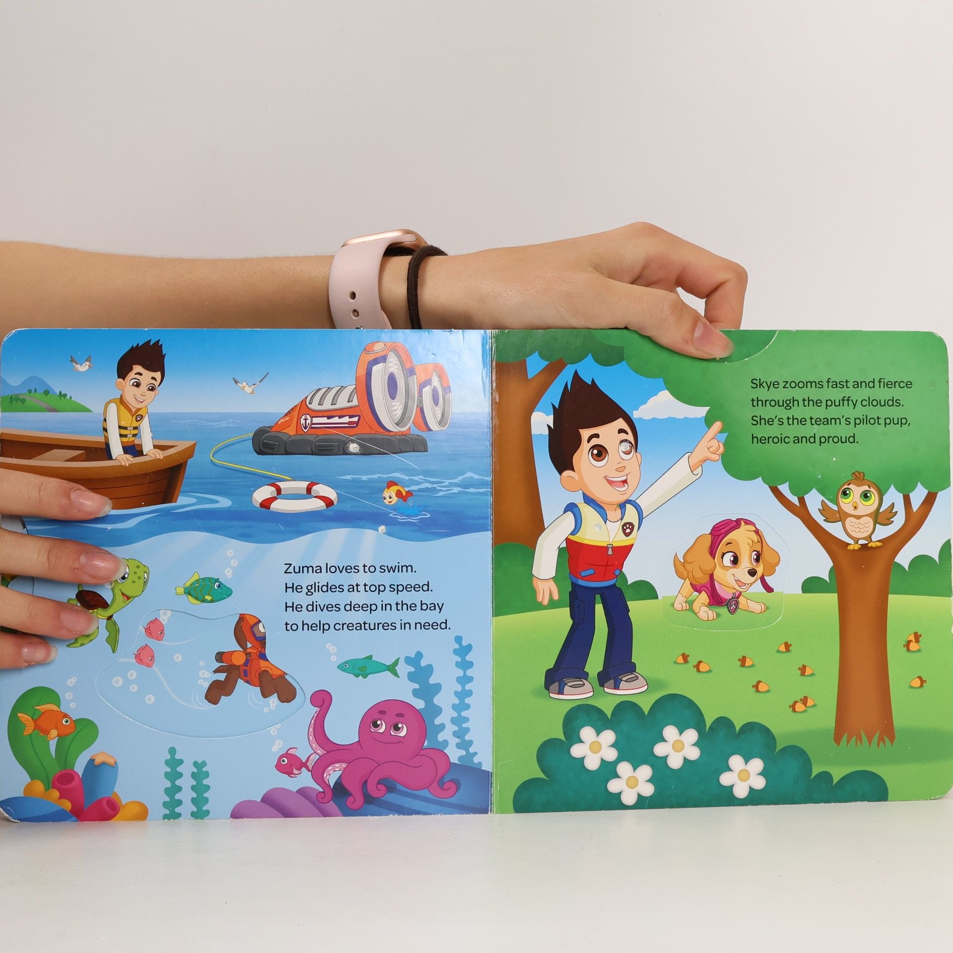 Maggie Fischer PAW Patrol: PAWsome Heroes!