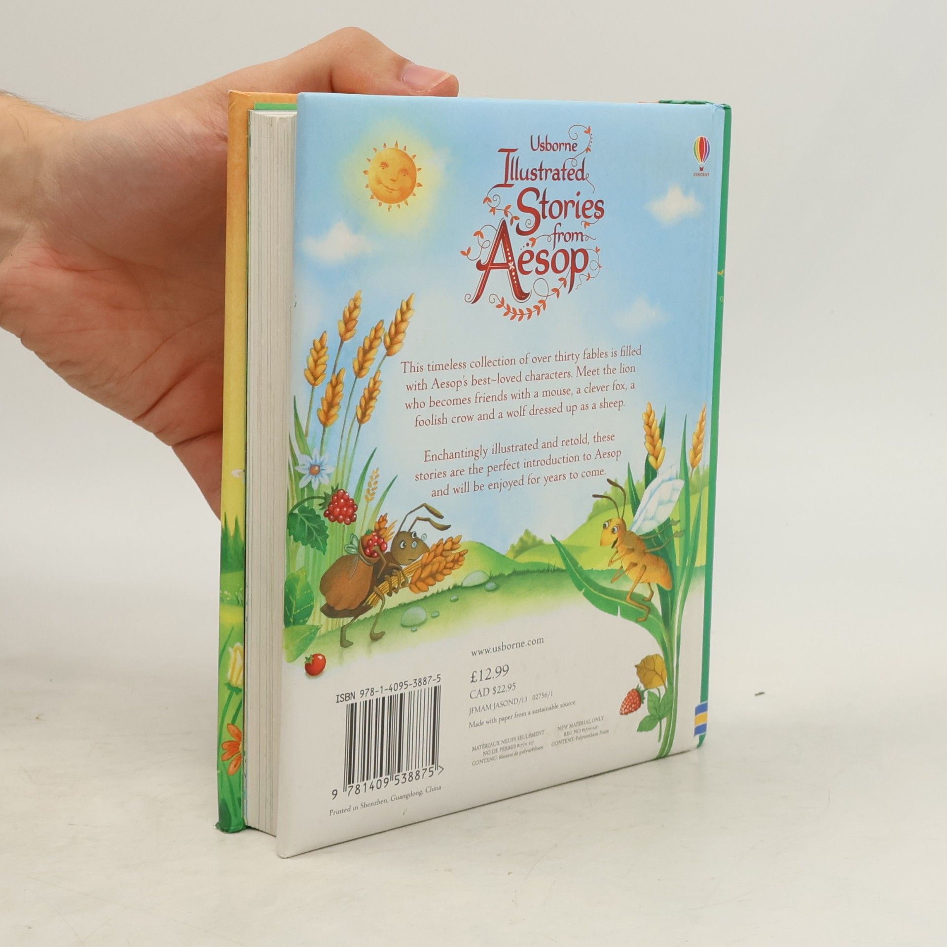 Zanna Davidson Usborne Illustrated Stories from Aesop