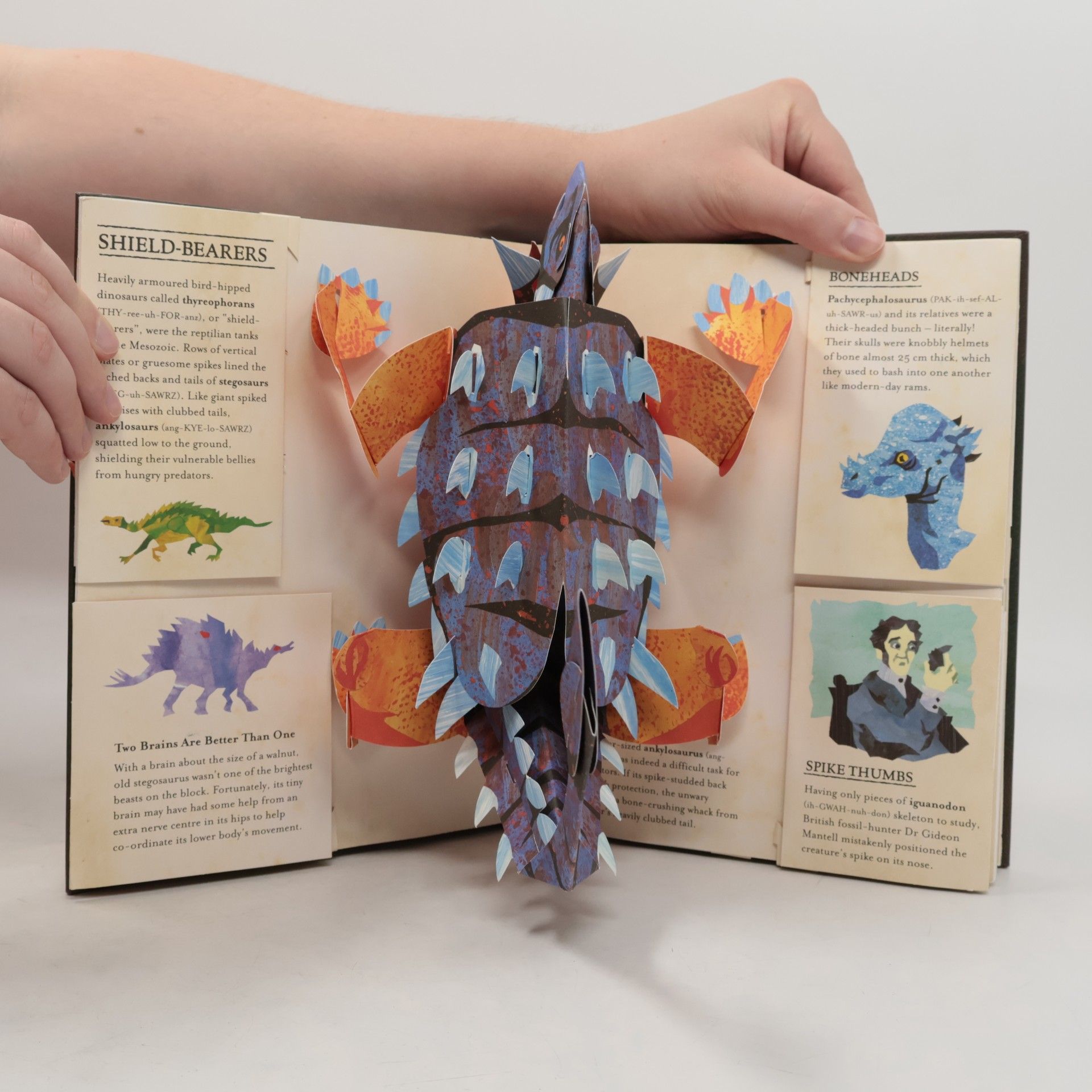 Robert Sabuda Encyclopedia Prehistorica Dinosaurs