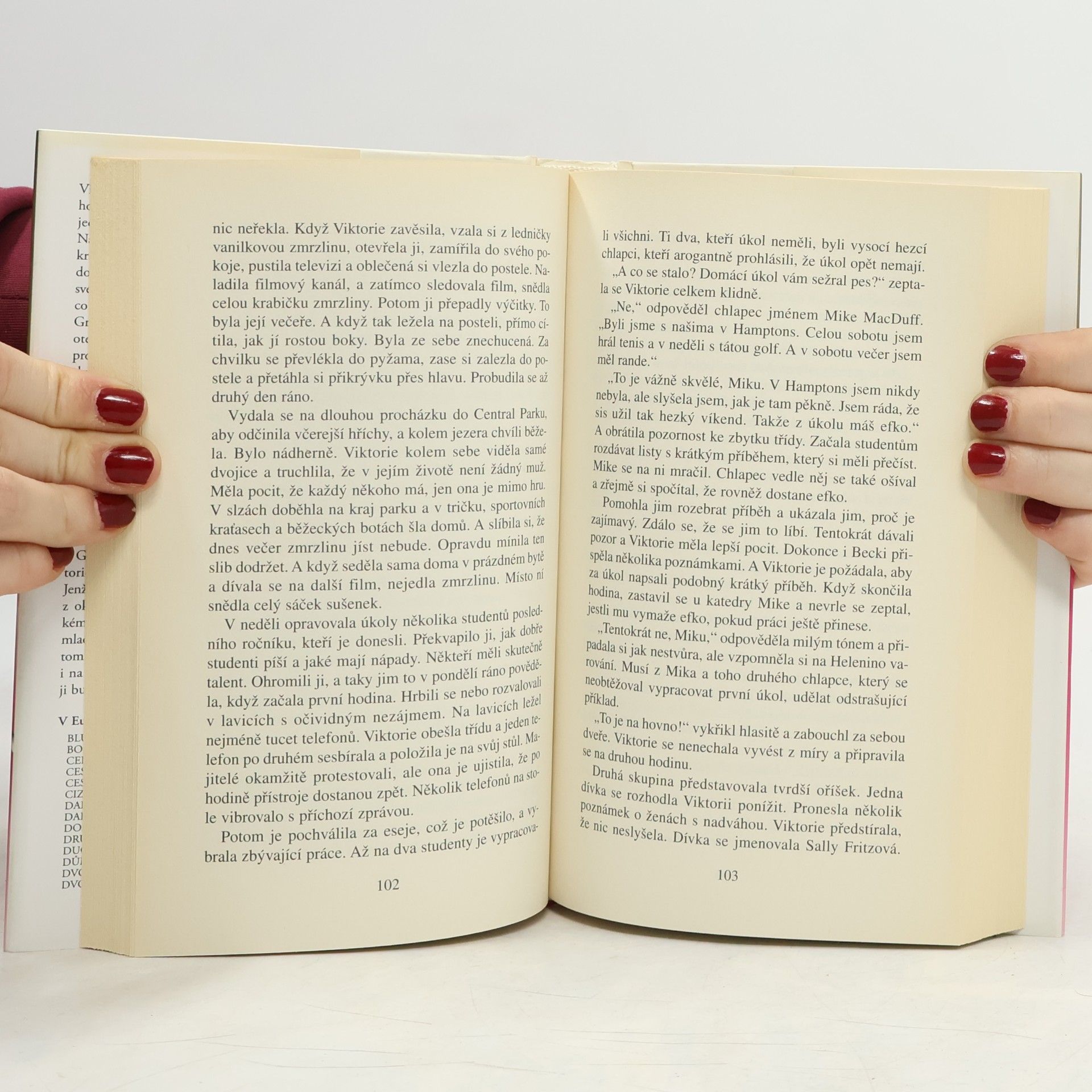 Danielle Steel Velká holka