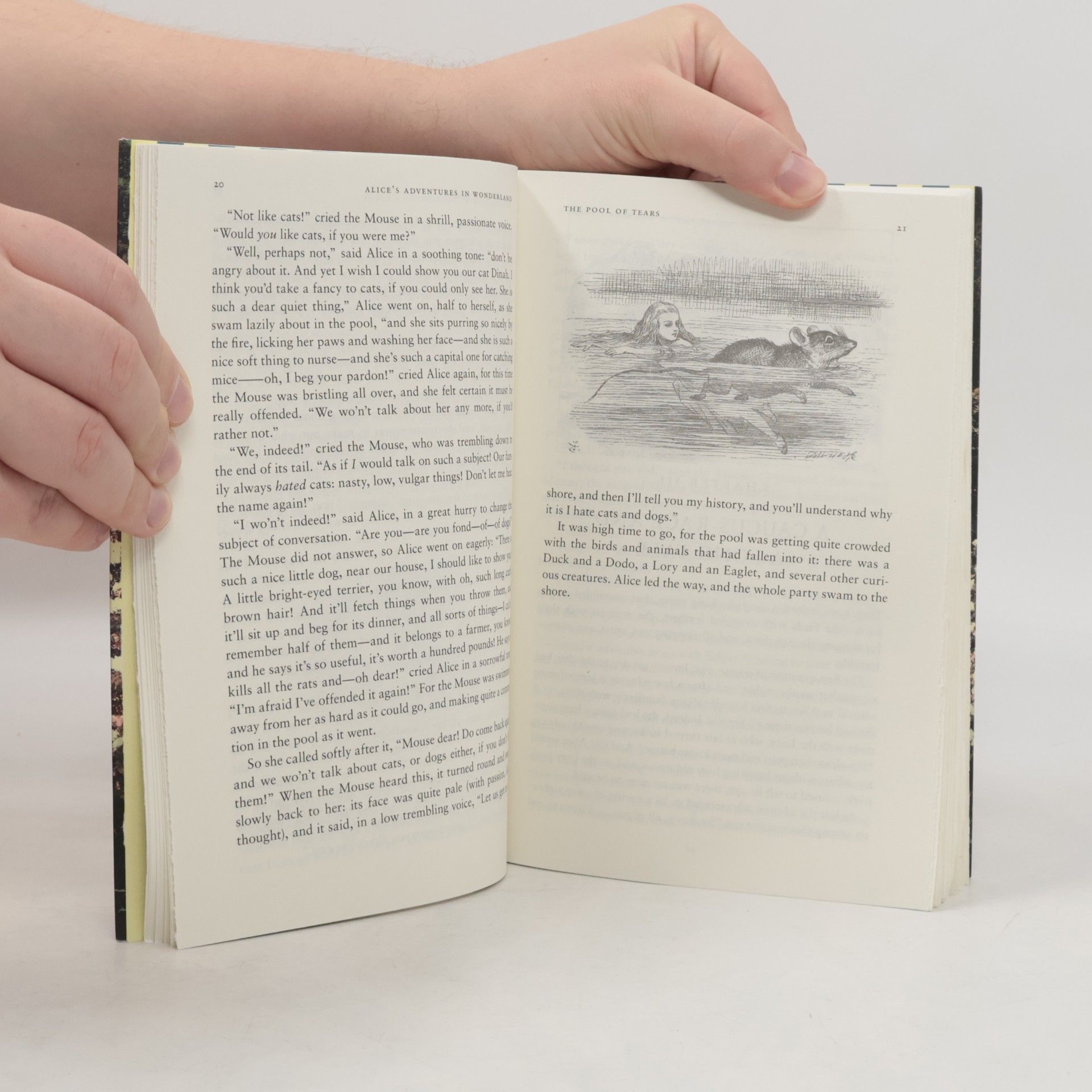 Lewis Carroll Alice's Adventures in Wonderland and Through the Looking-Glass