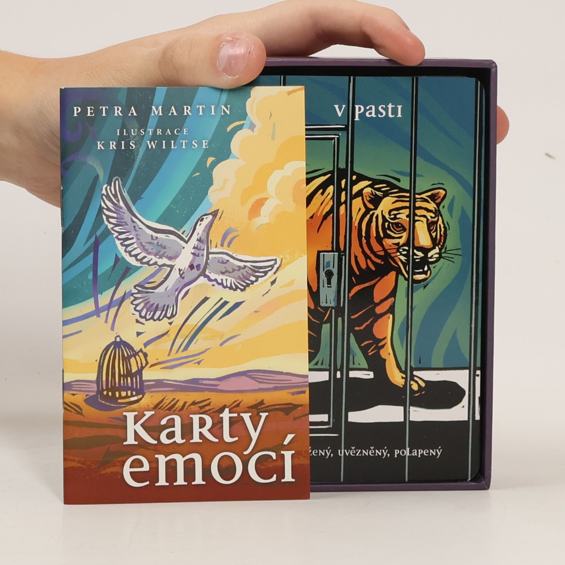 Petra Martin Karty emocí