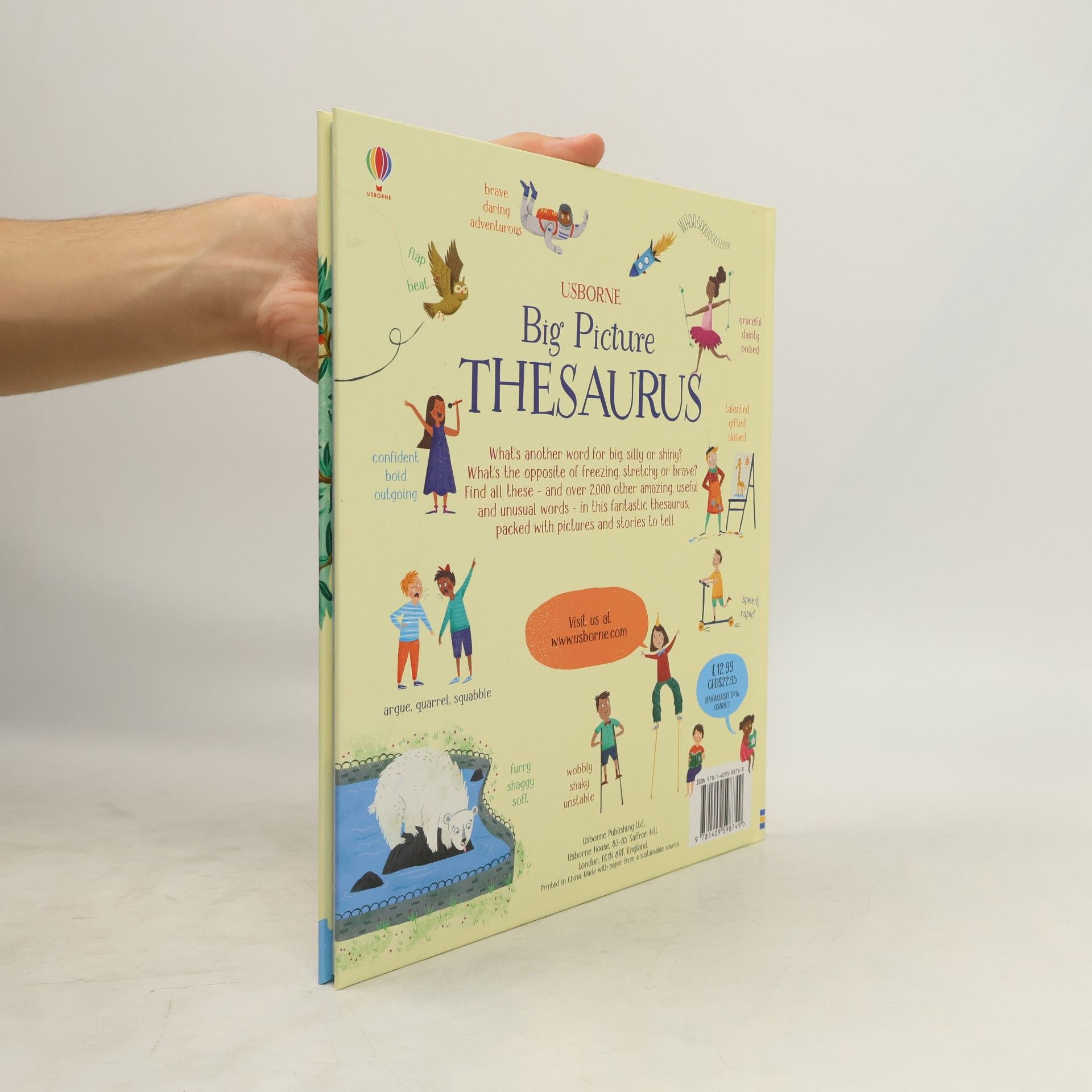 Rosie Hore Big Picture Thesaurus