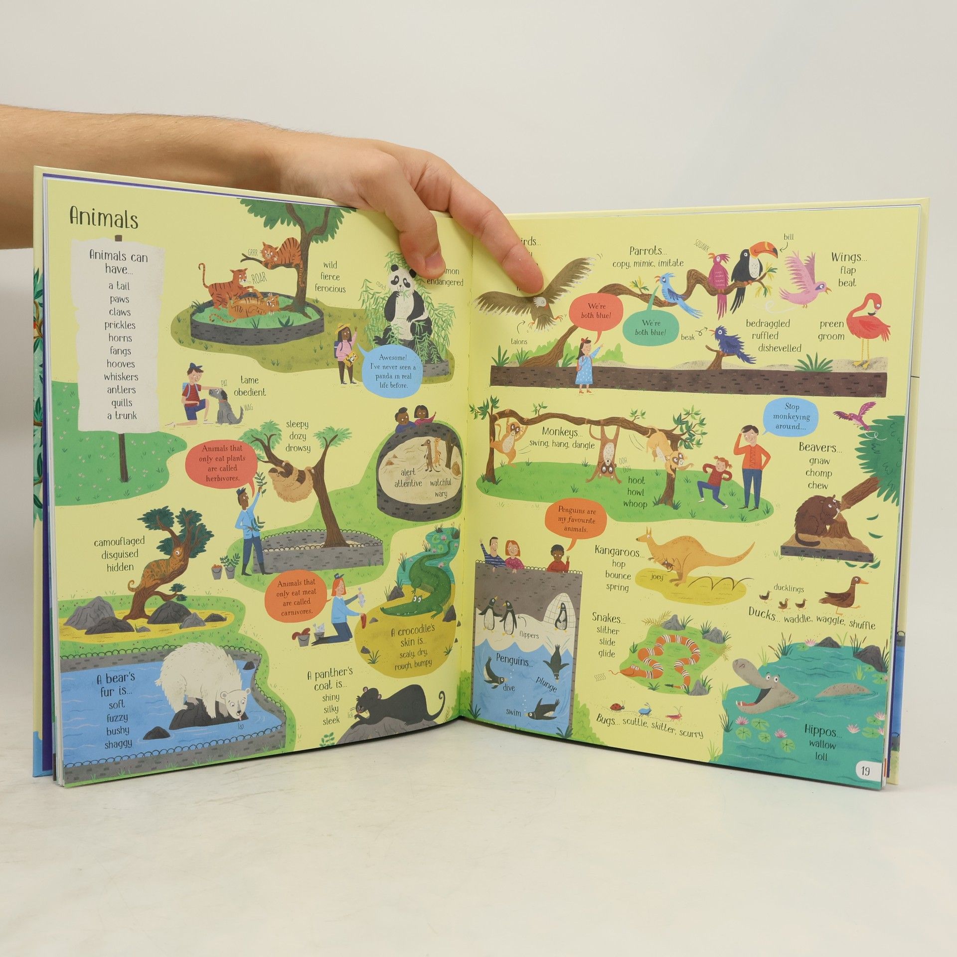 Rosie Hore Big Picture Thesaurus