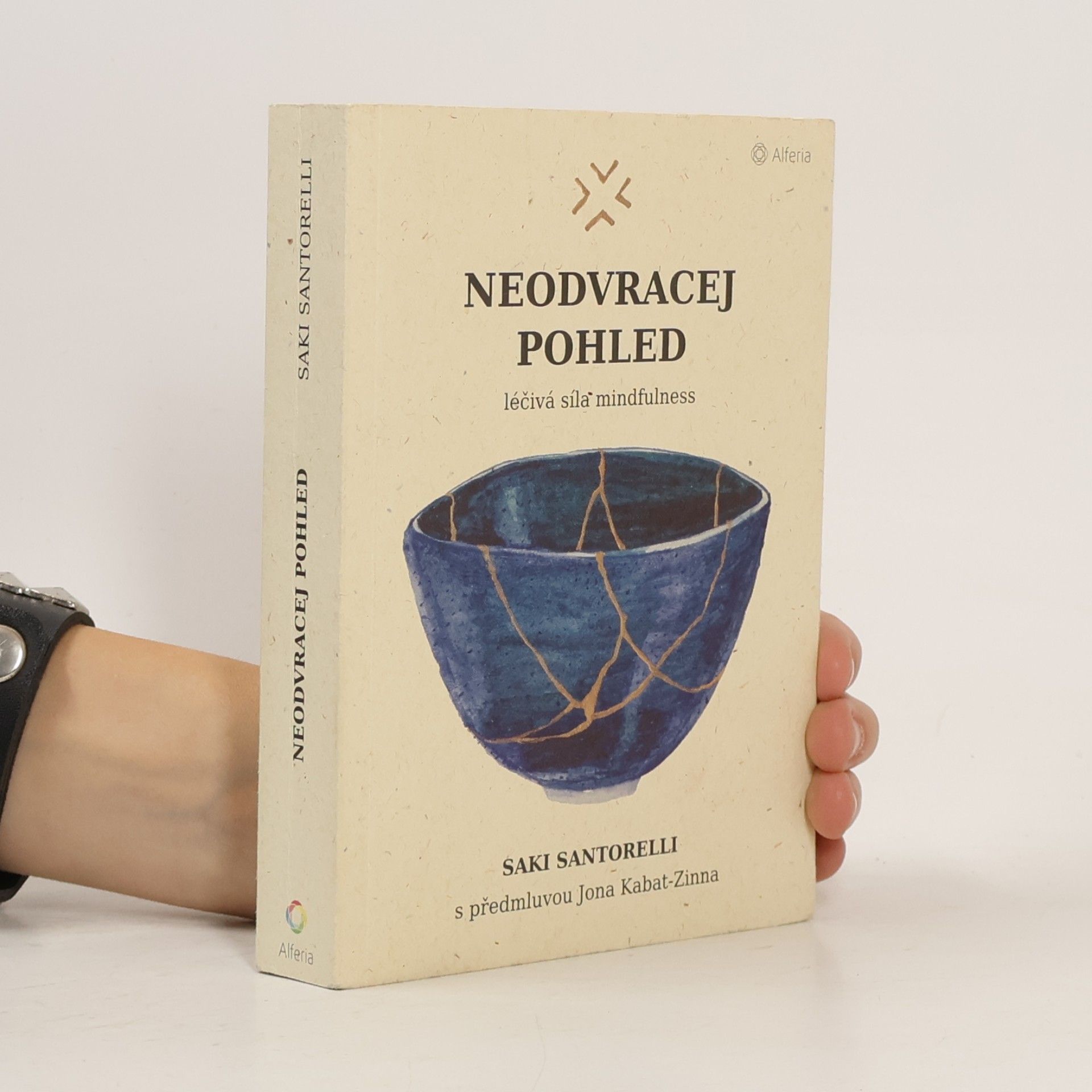 Saki Santorelli Neodvracej pohled : léčivá síla mindfulness