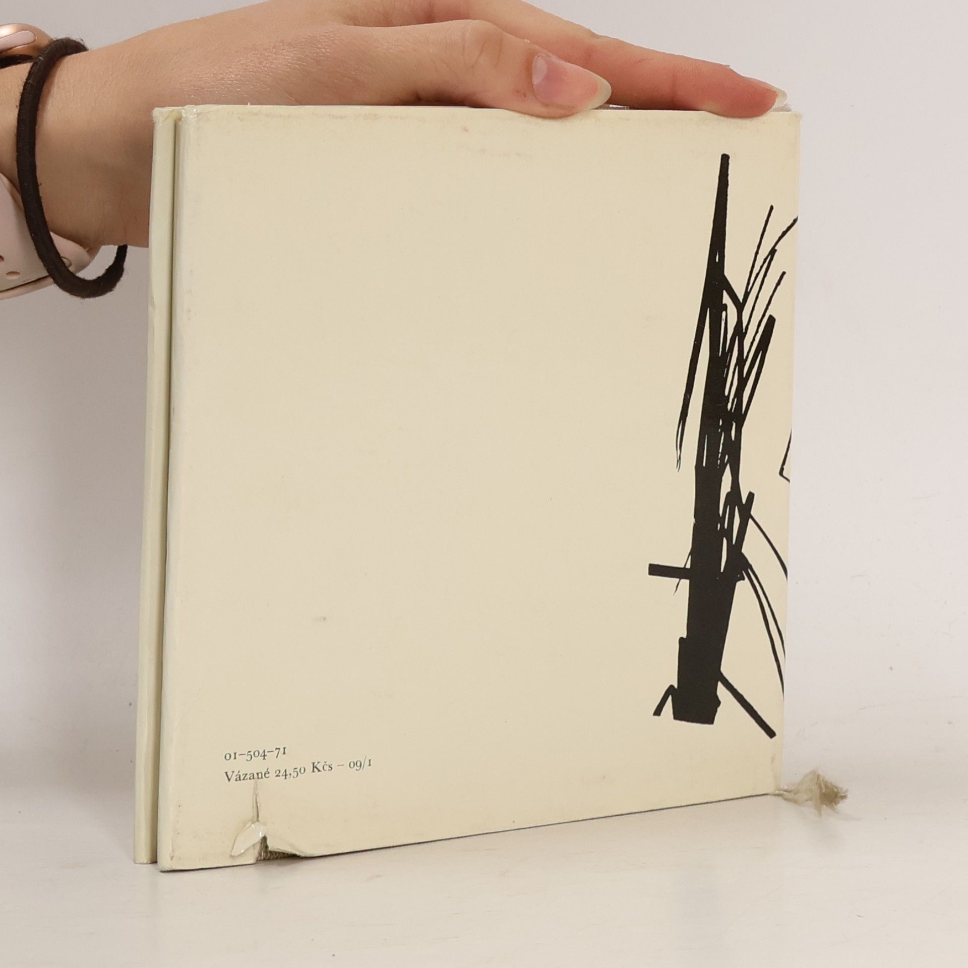 Miroslav Míčko Testament Mistra Wu