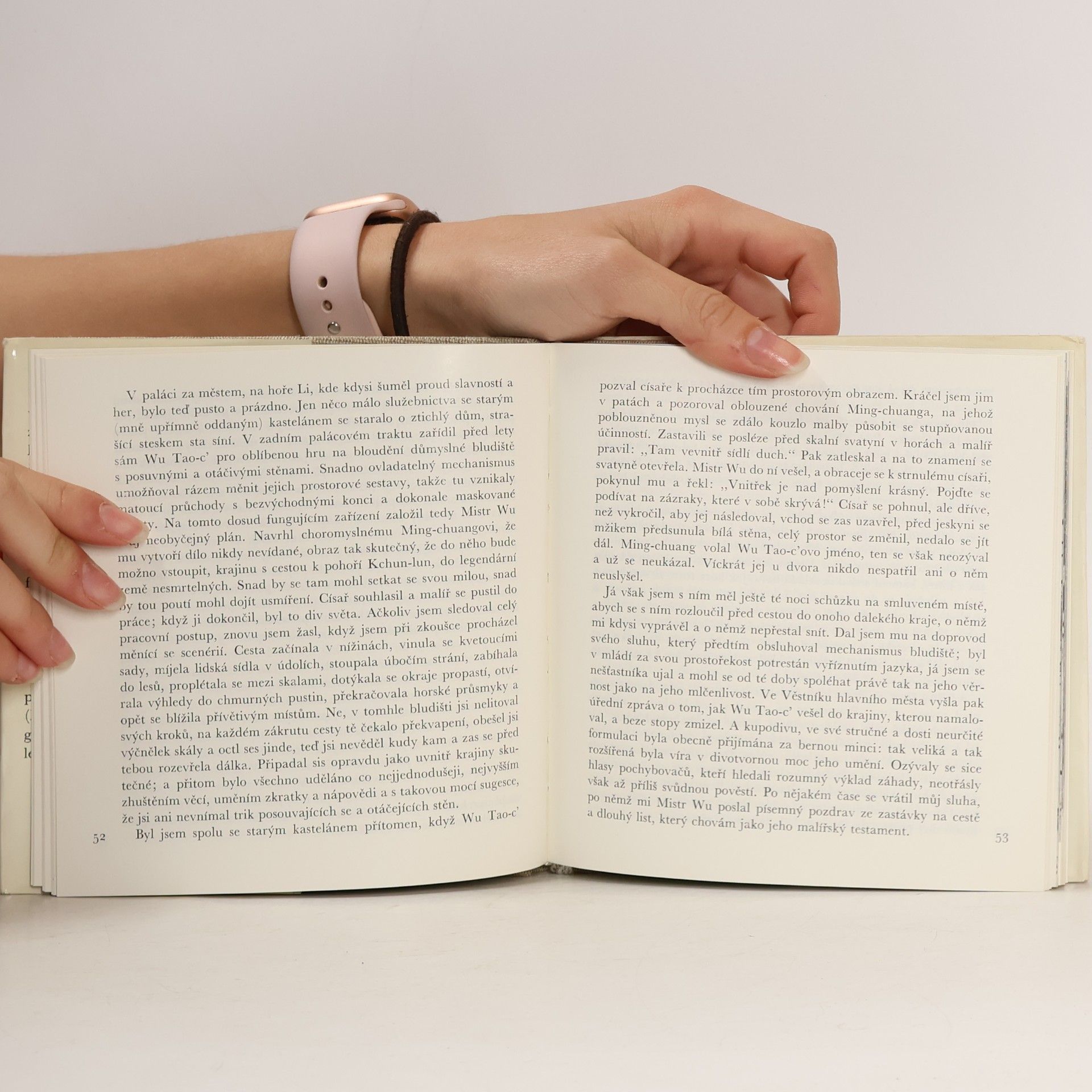 Miroslav Míčko Testament Mistra Wu