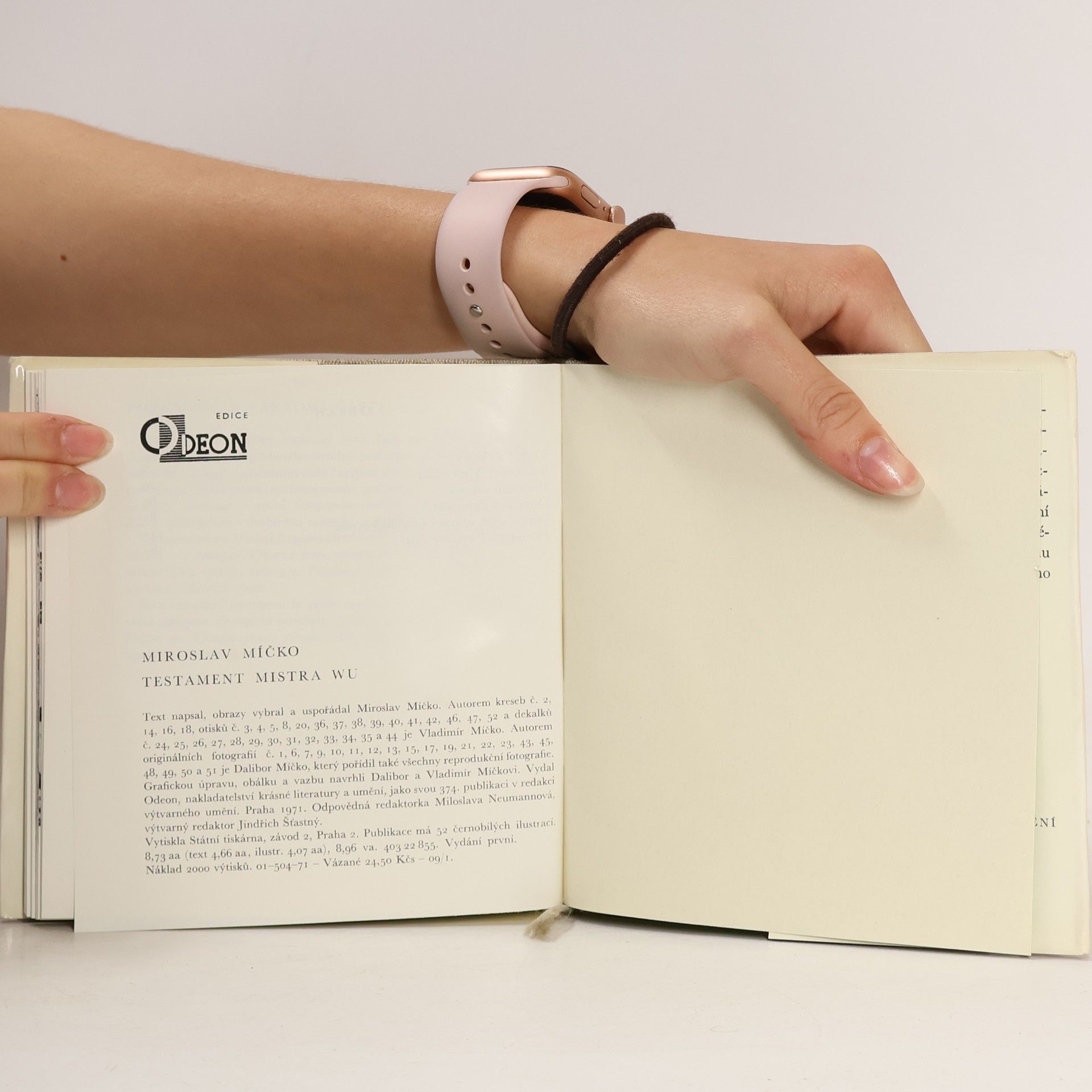 Miroslav Míčko Testament Mistra Wu