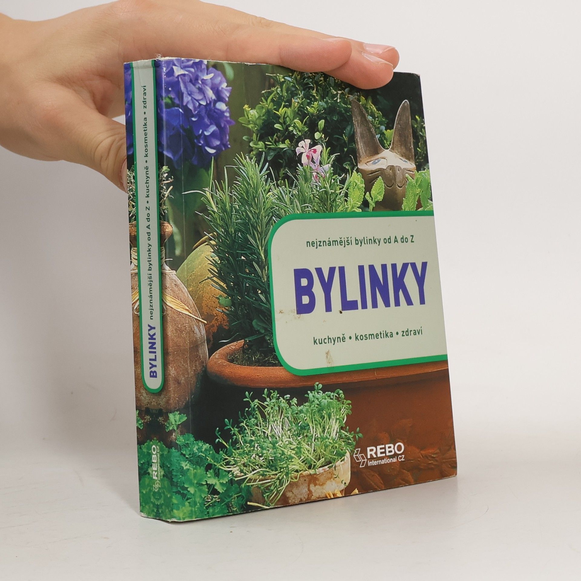 Various authors Bylinky