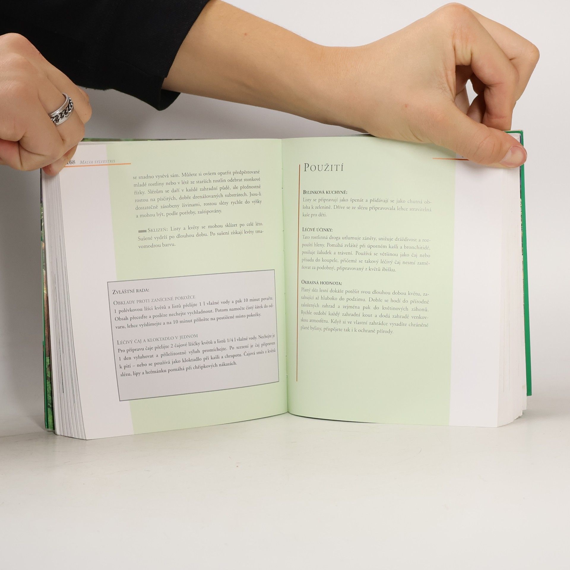 Various authors Bylinky