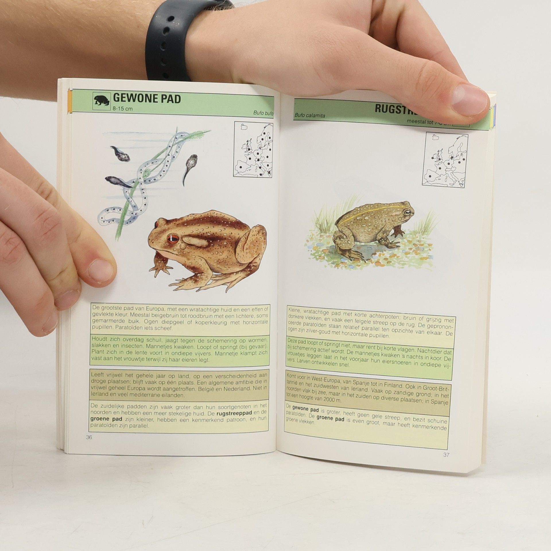 Amfibieën en Reptielen