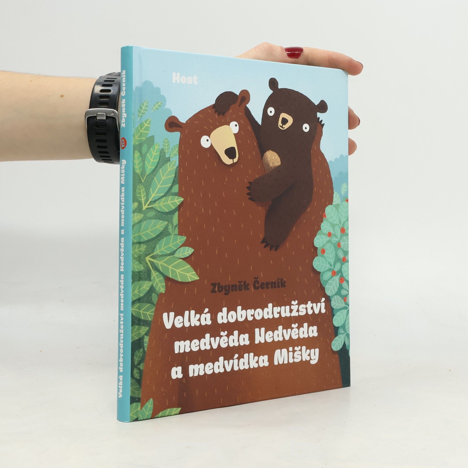 Velká dobrodružství medvěda Nedvěda a medvídka Mišky