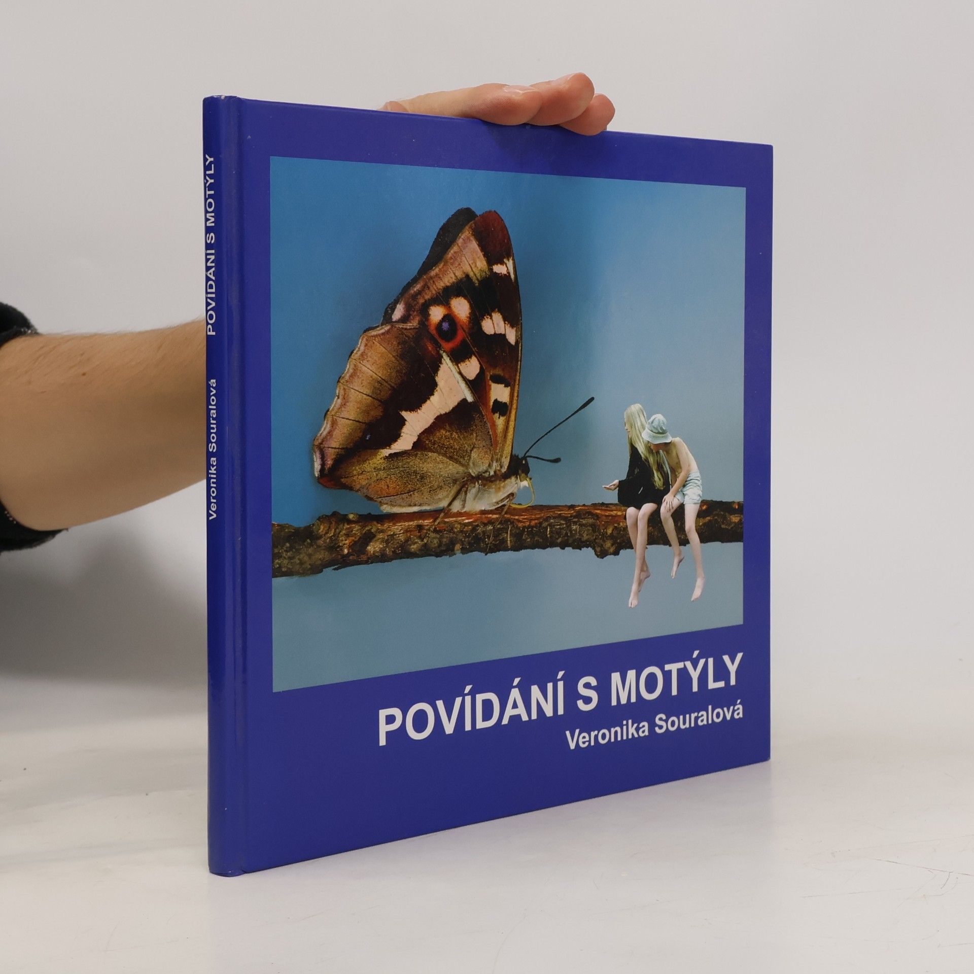 Povídání s motýly