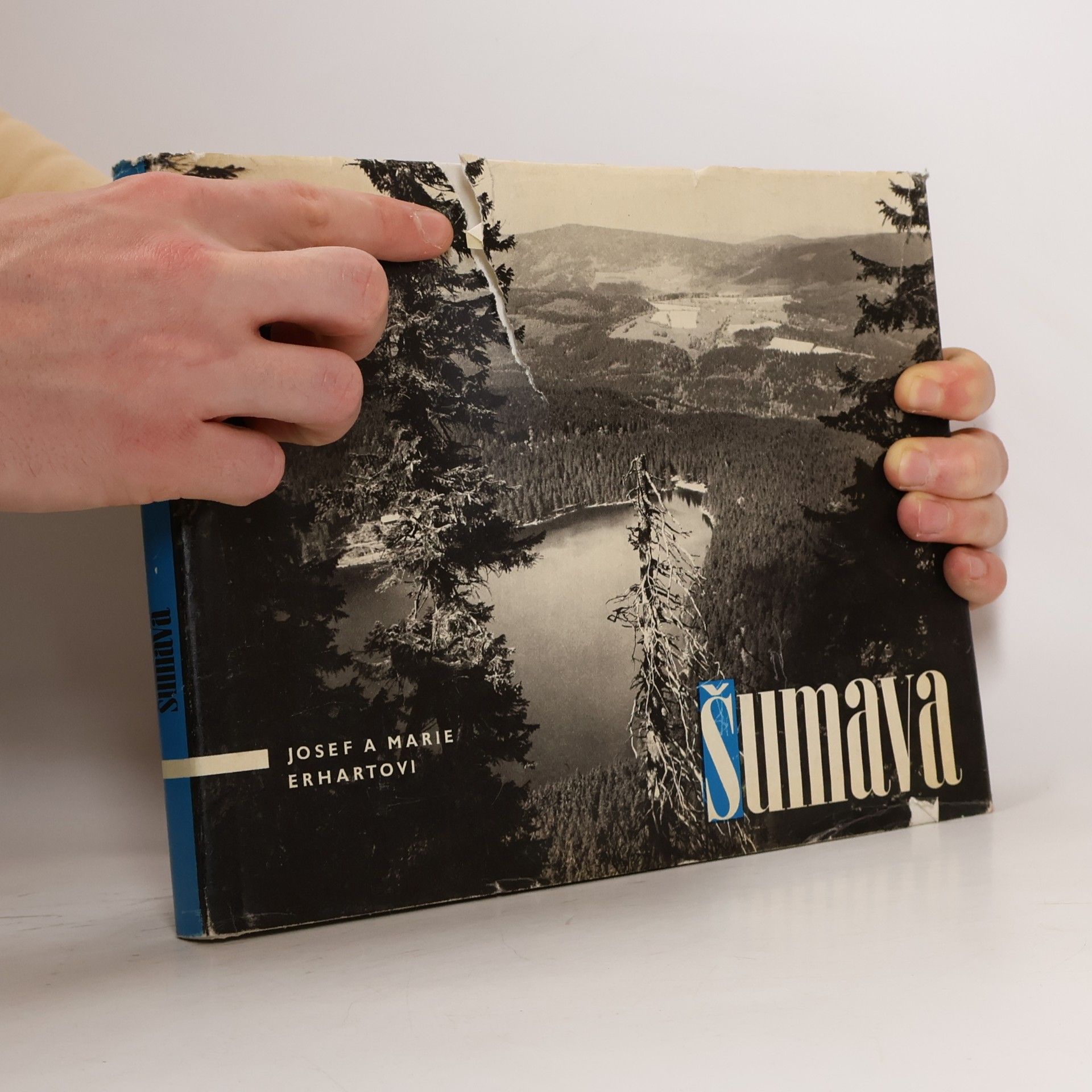 Josef Erhart Šumava