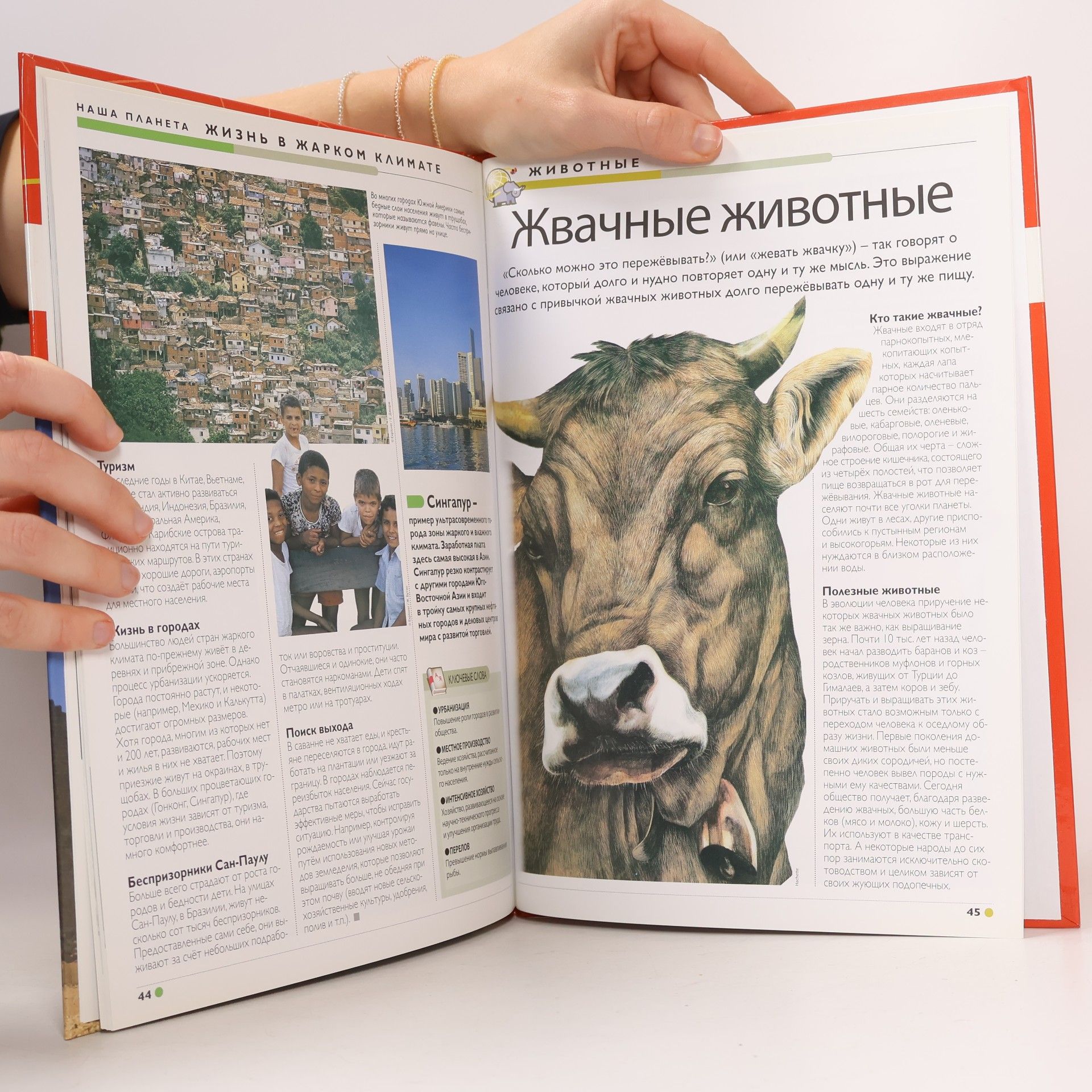 Macha Publishing Наш мир от А до Я 15, Е-К