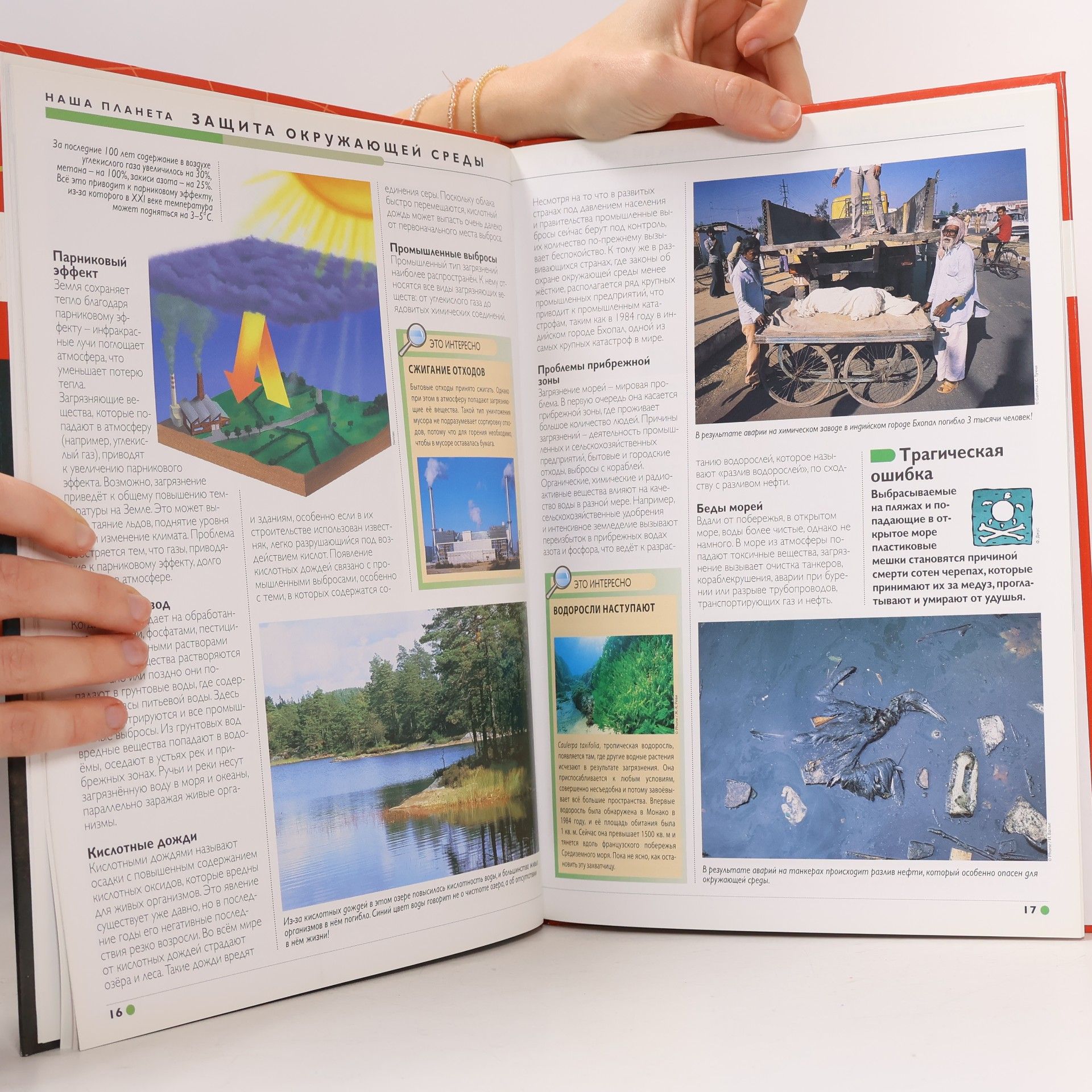 Macha Publishing Наш мир от А до Я