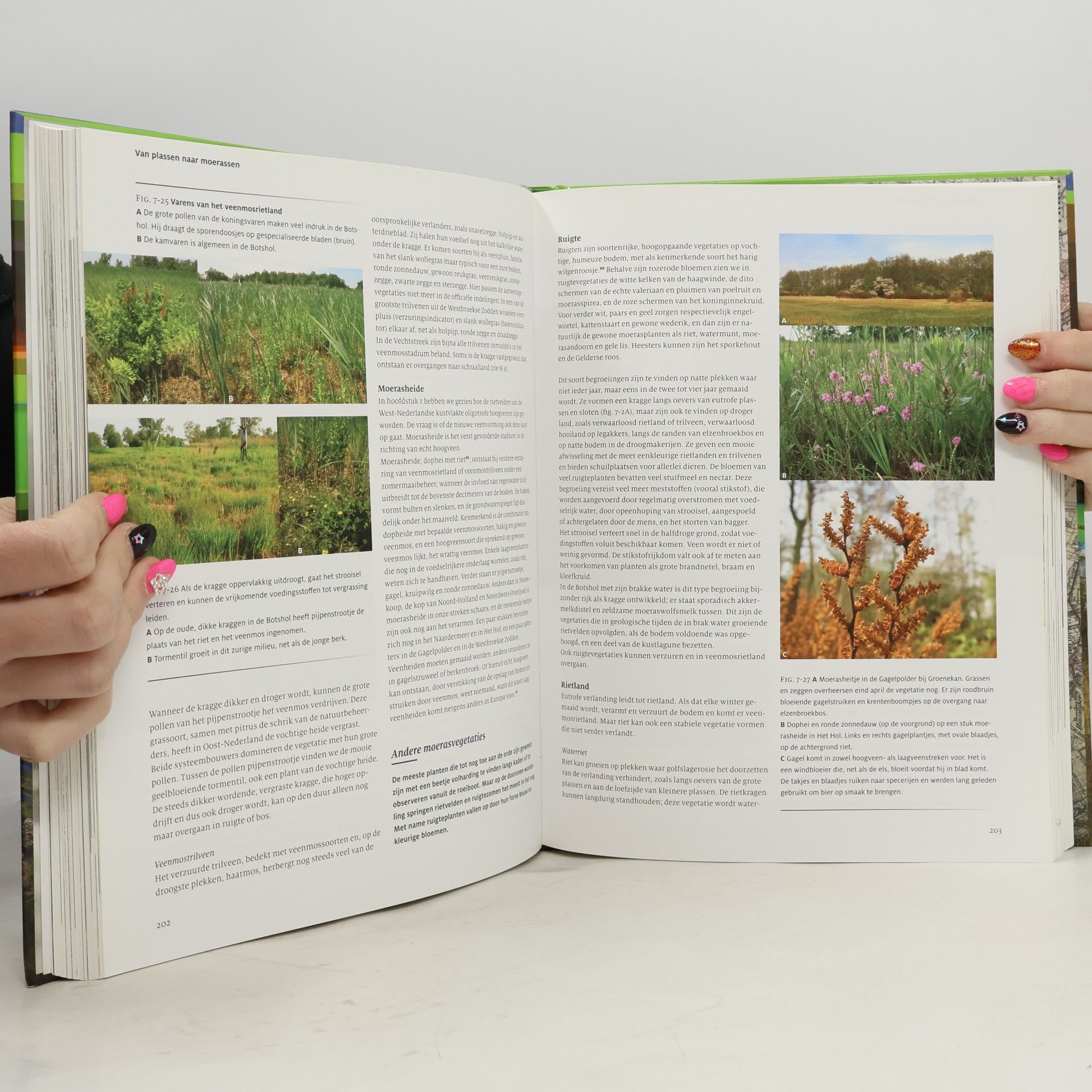 Wim Weijs Natuur & landschap van de Vechtstreek