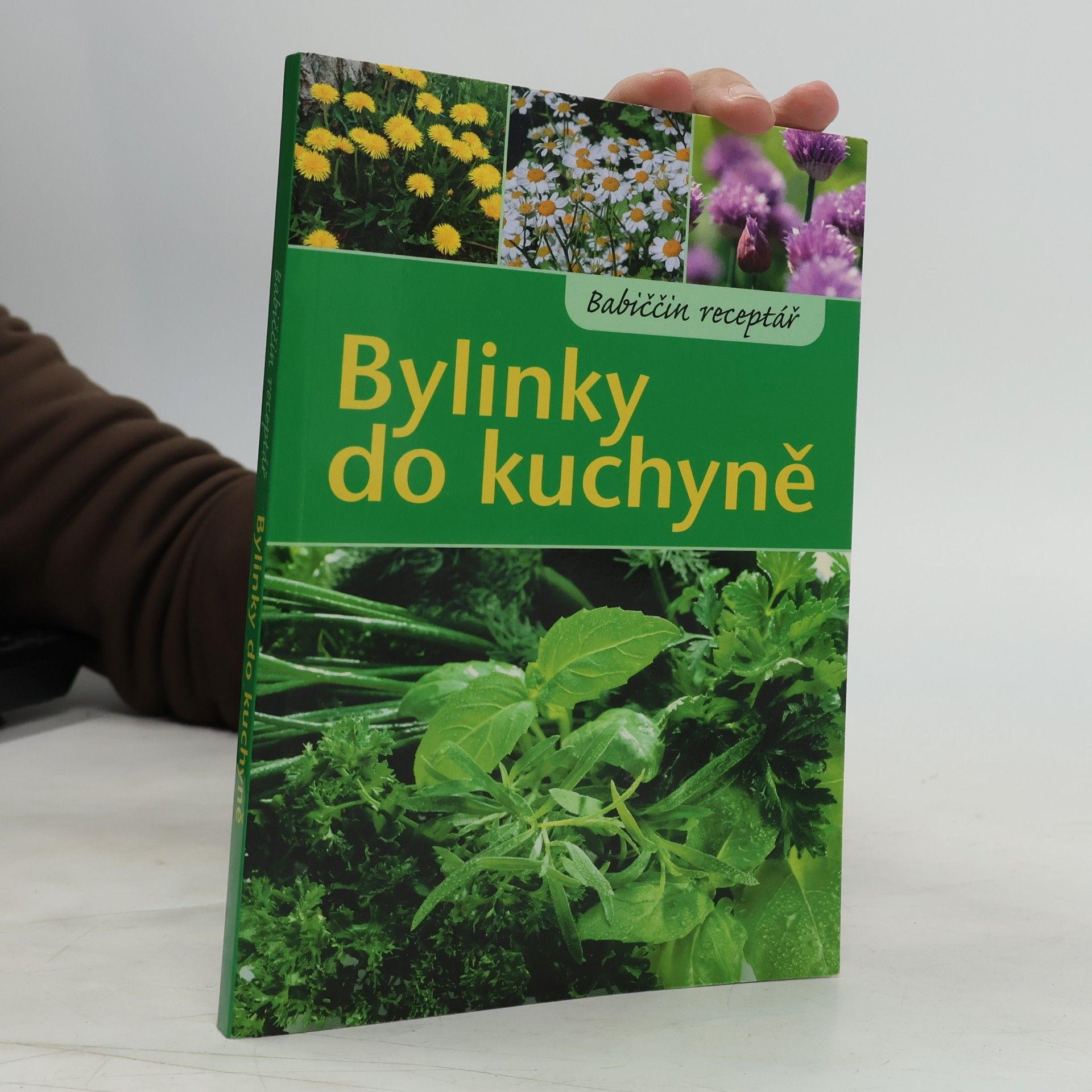 Bylinky do kuchyně