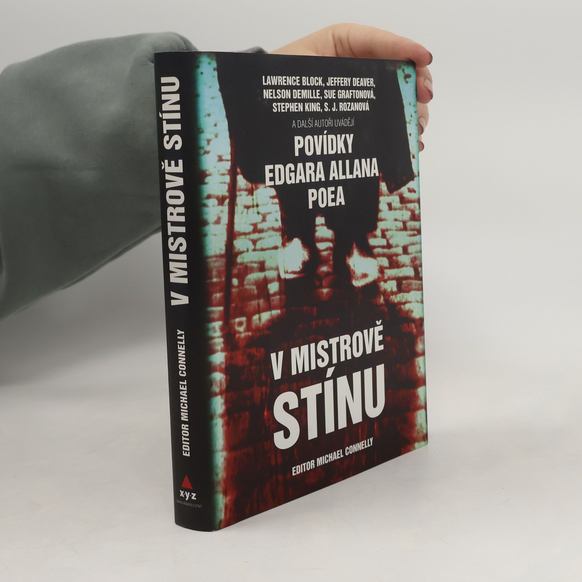 V mistrově stínu