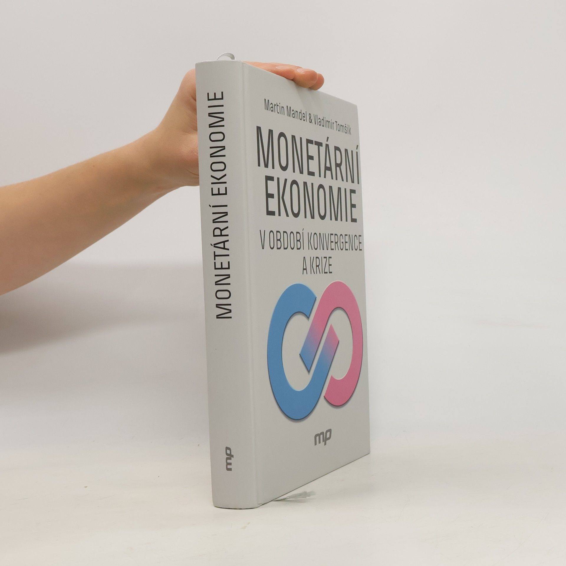 Monetární ekonomie v období konvergence a krize