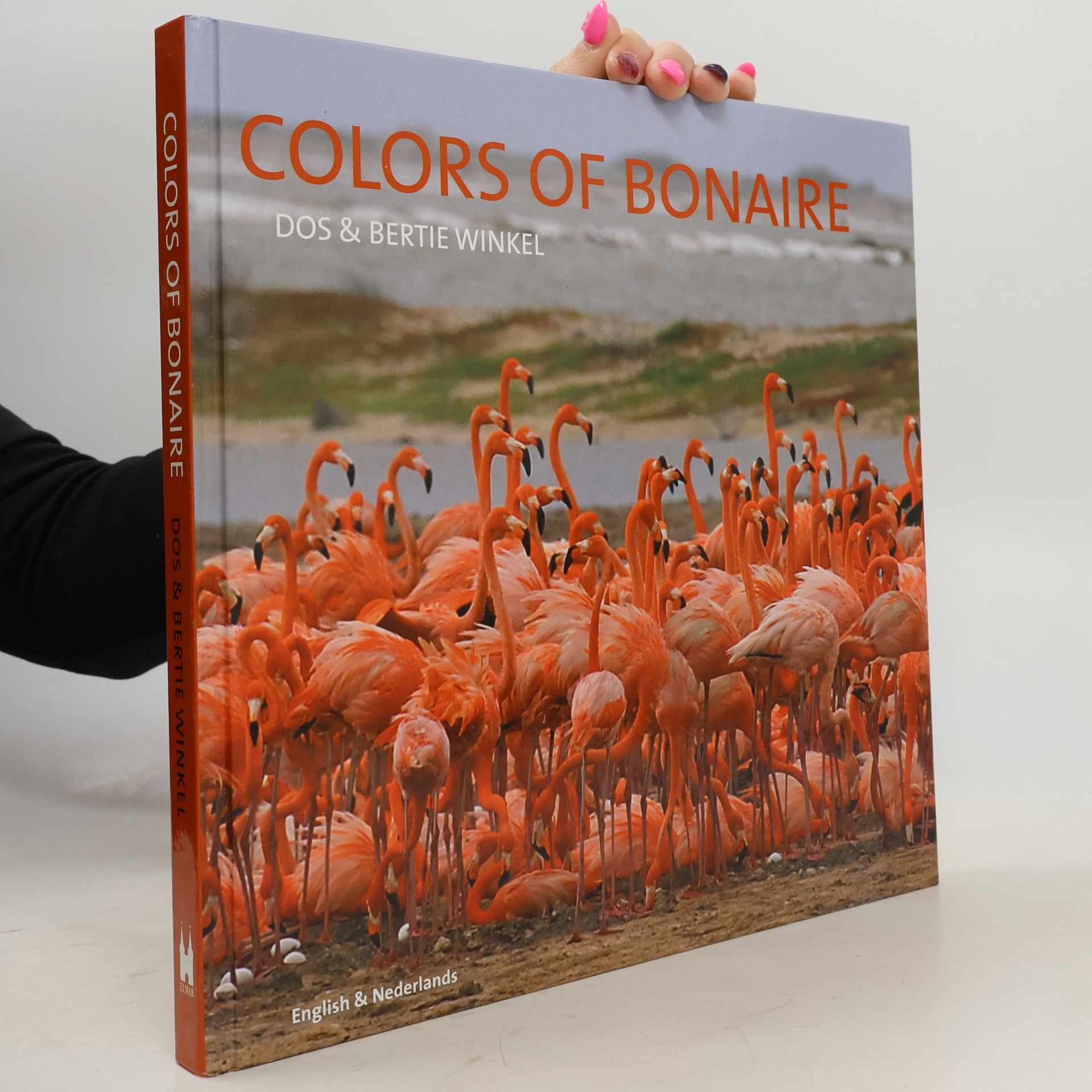 Dos Winkel Colors of Bonaire