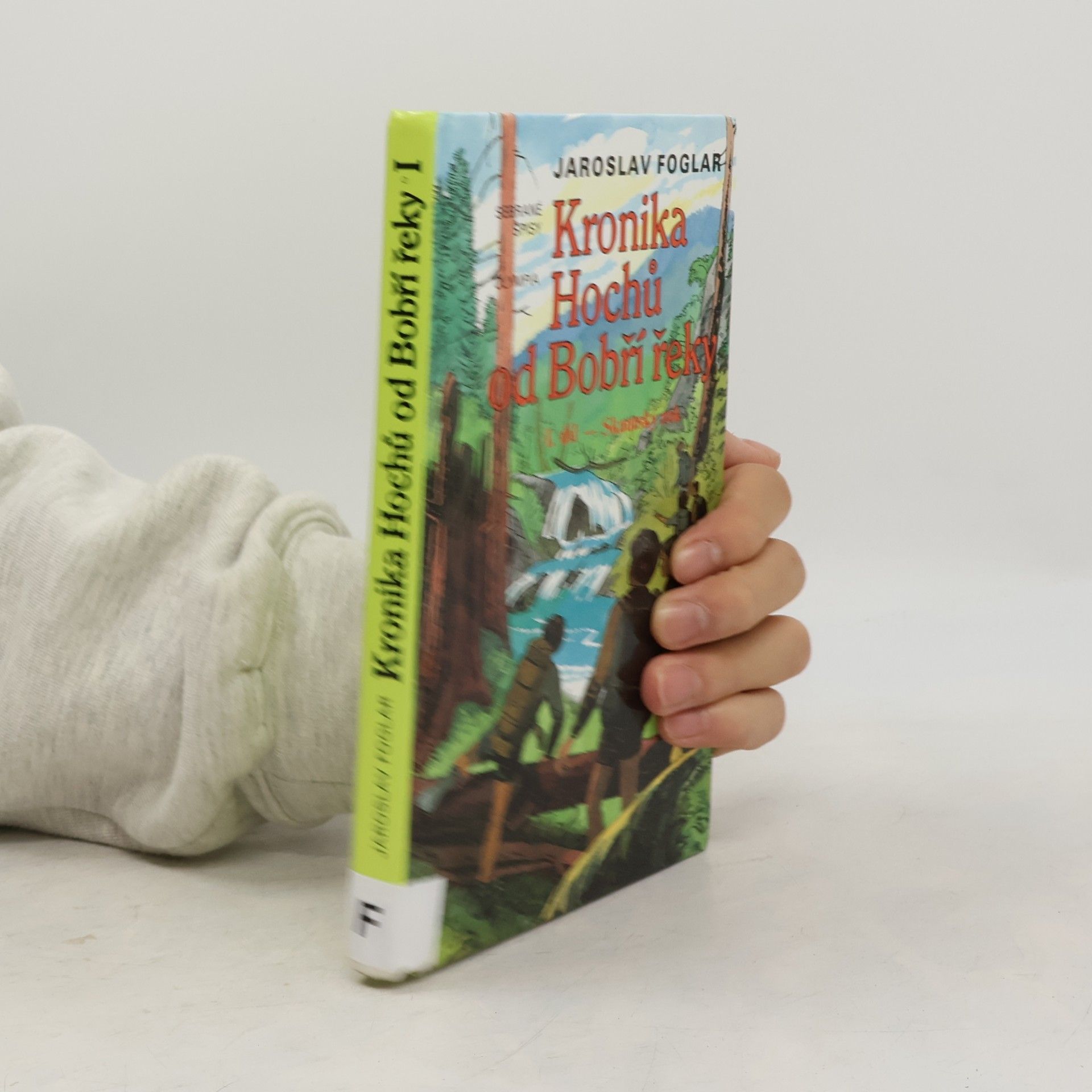 Kronika Hochů od Bobří řeky. Díl 1. Skautský rok