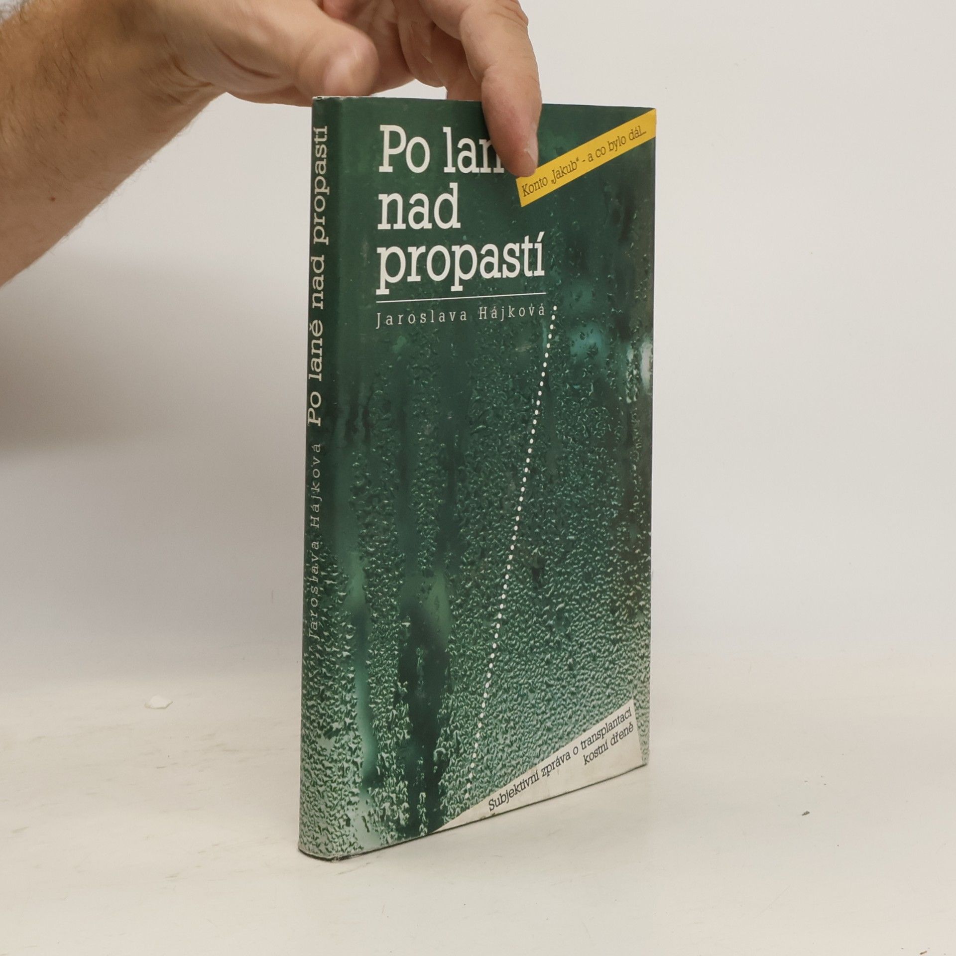 Jaroslava Hájková Po laně nad propastí