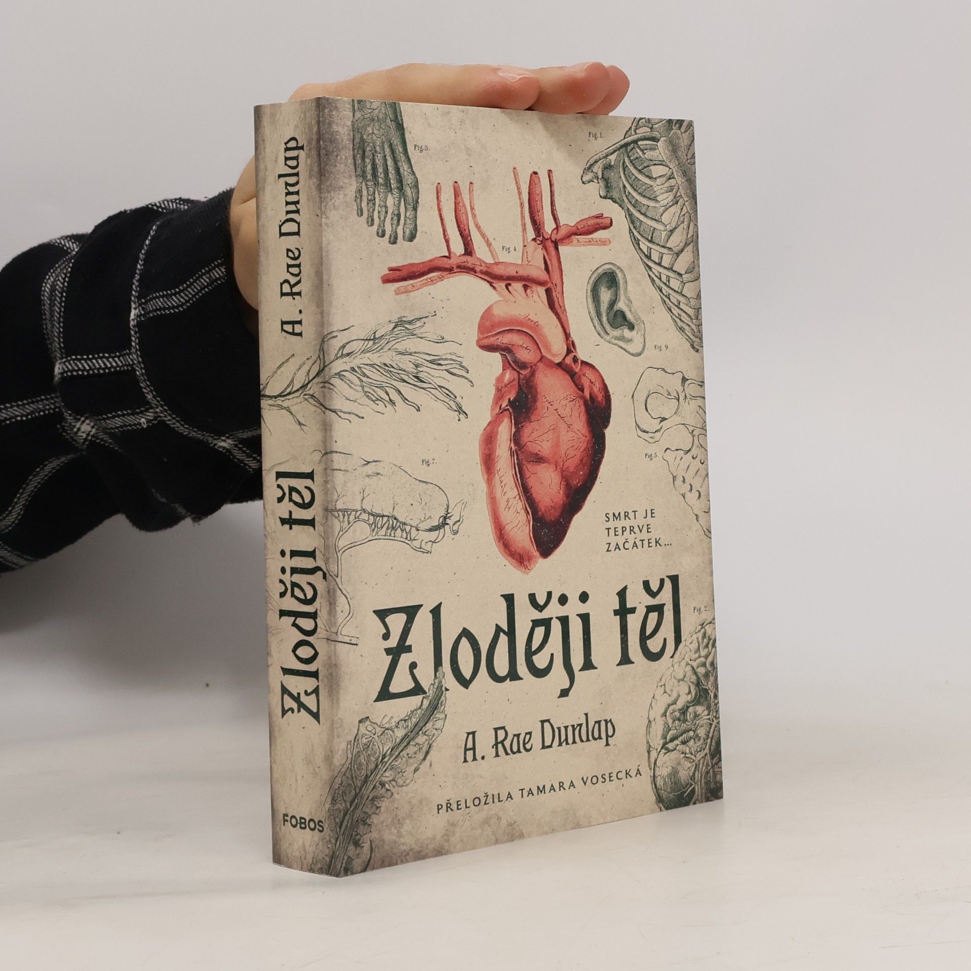 Zloději těl