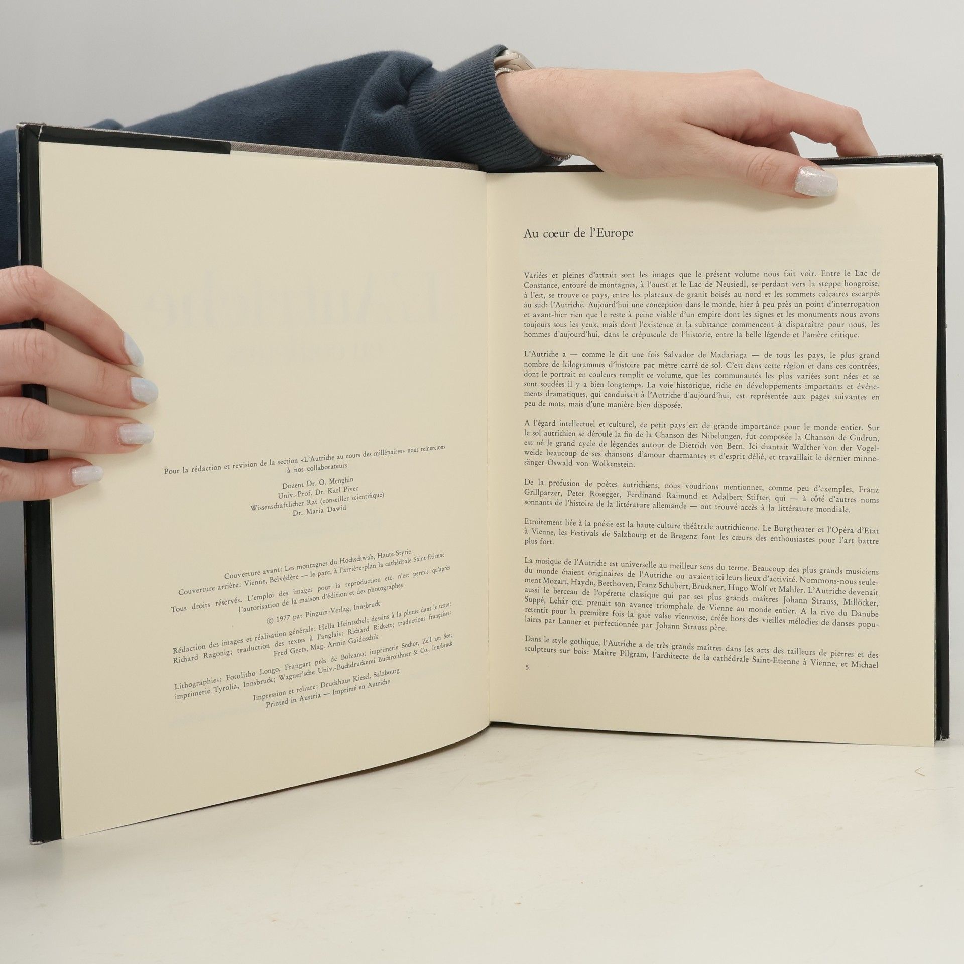 Autorenkollektiv L'Autriche