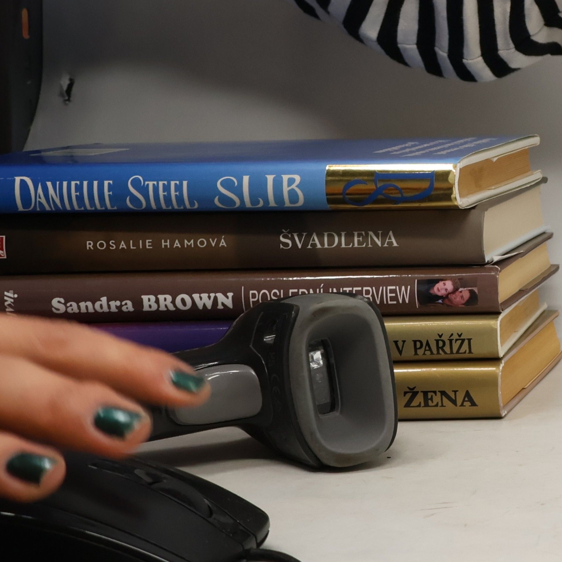 Danielle Steel Křídla