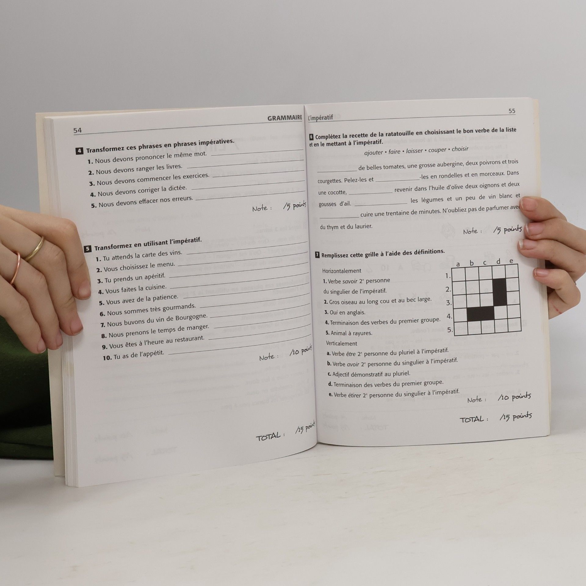 Giovanna Tempesta Tests CLE. Niveau débutant. Grammaire