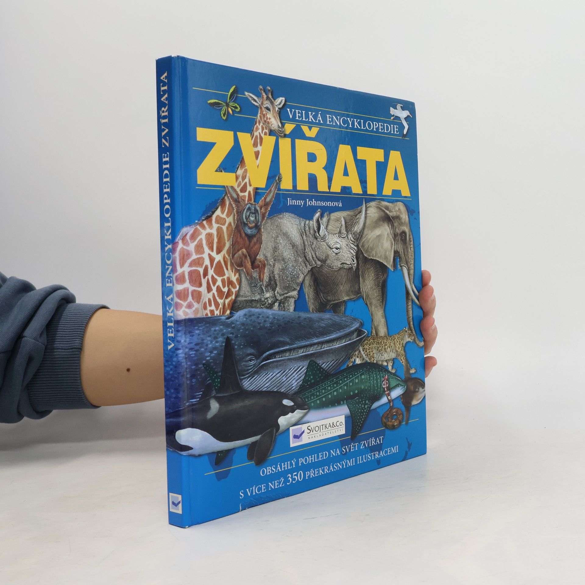 Zvířata