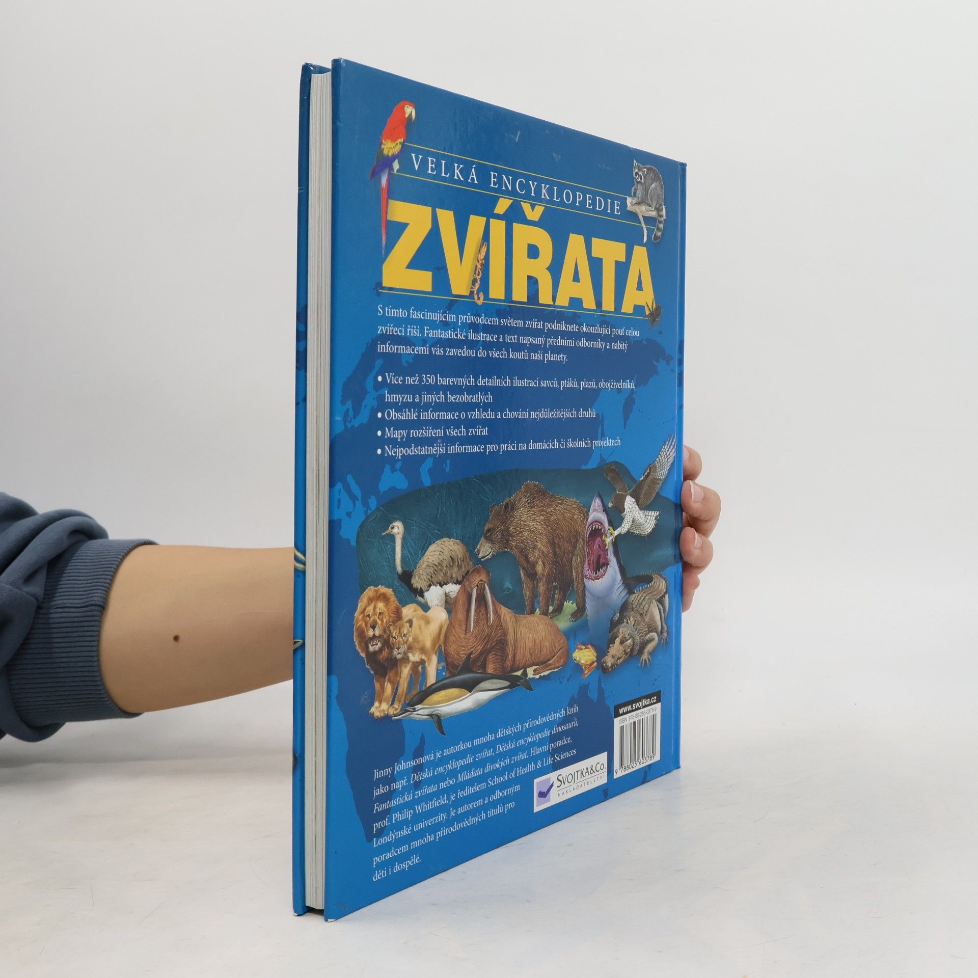 Jinny Johnson Zvířata