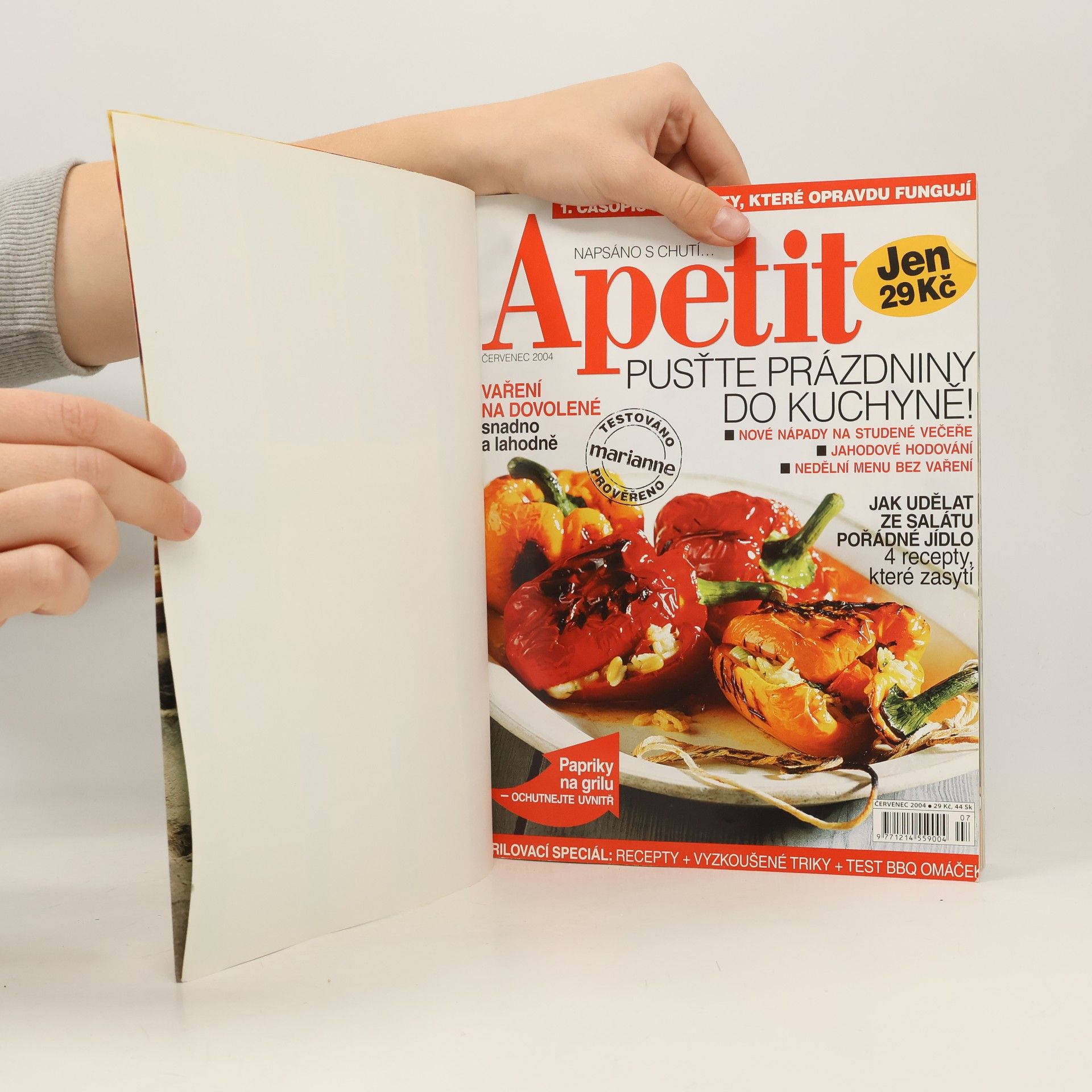 Kolektiv autorů Apetit 7-12/2004 (6 čísel časopisu v jednom svazku). Velká kniha receptů