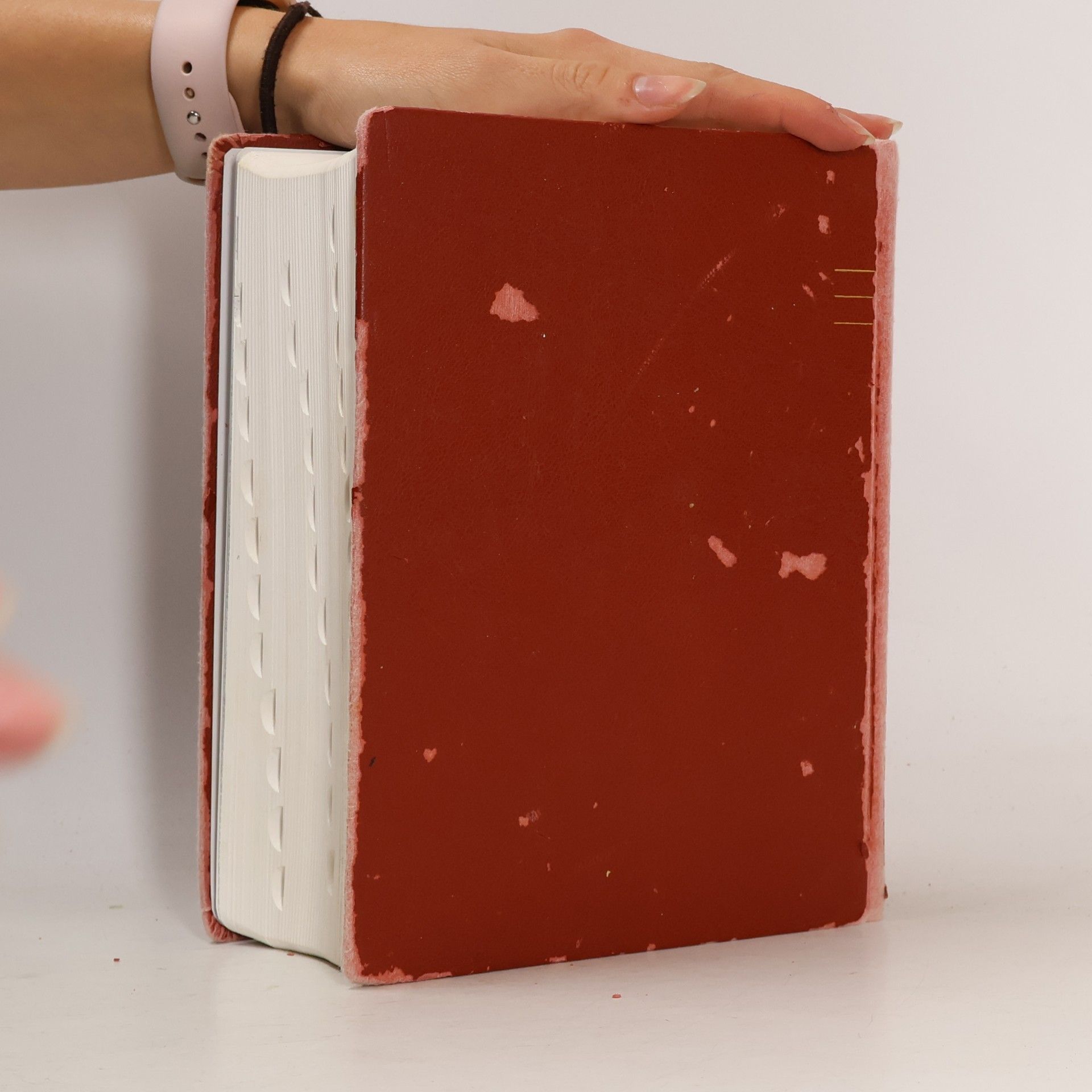 František X. Halas Jeruzalémská Bible
