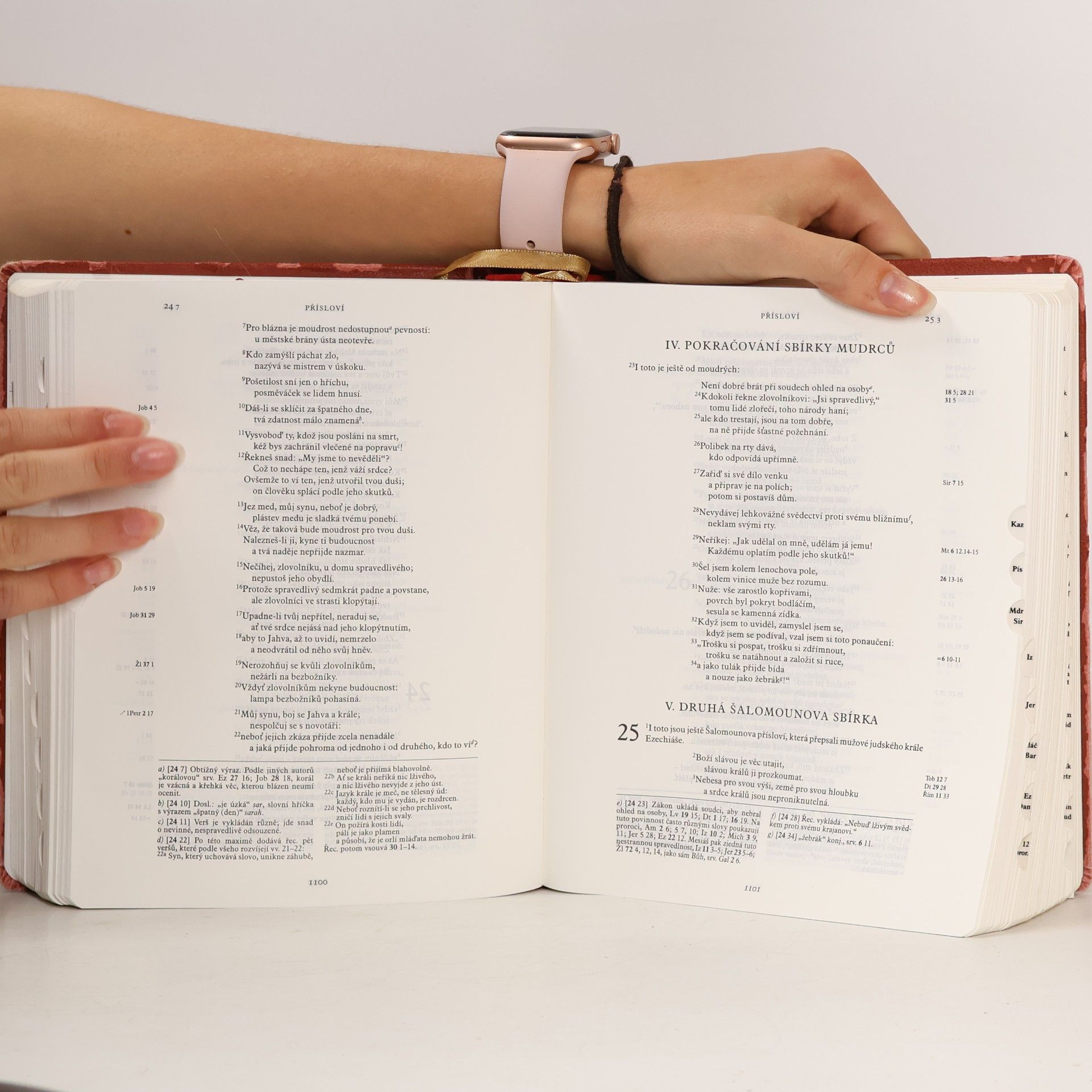 František X. Halas Jeruzalémská Bible