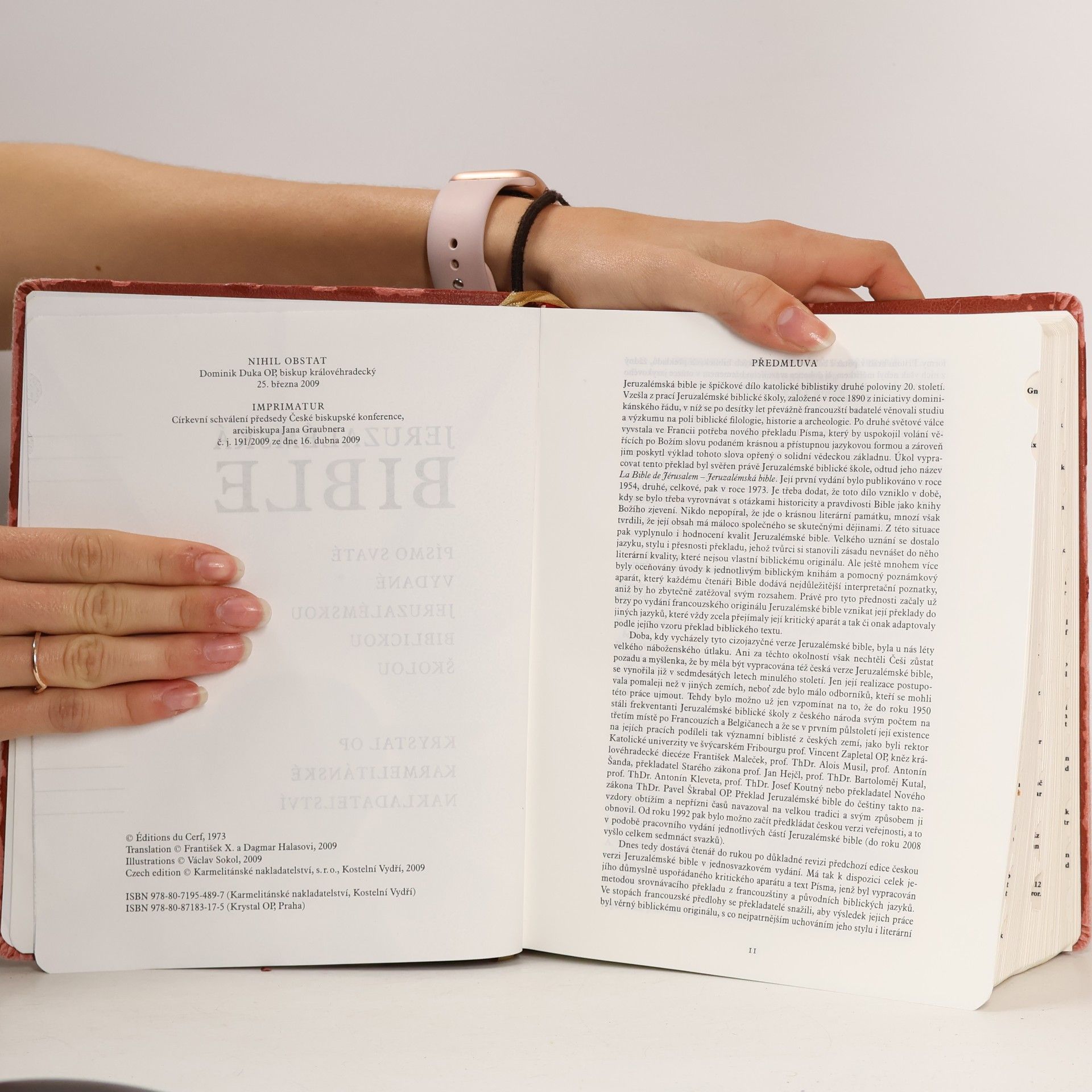 František X. Halas Jeruzalémská Bible