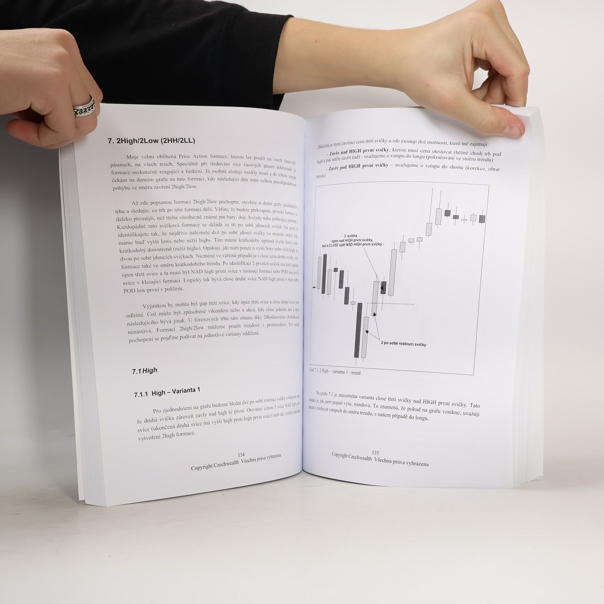 Ludvík Turek Price Action II - Obchodujte co vidíte, ne co si myslíte