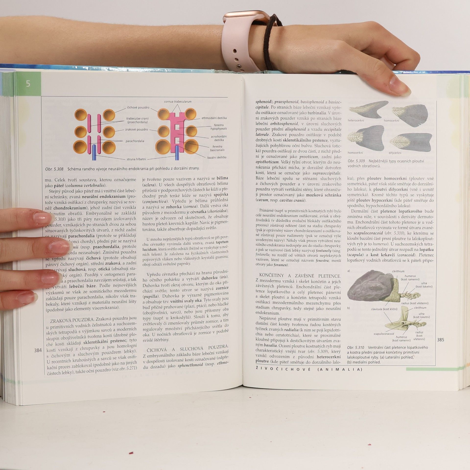 Collectif d'auteurs Nový přehled biologie