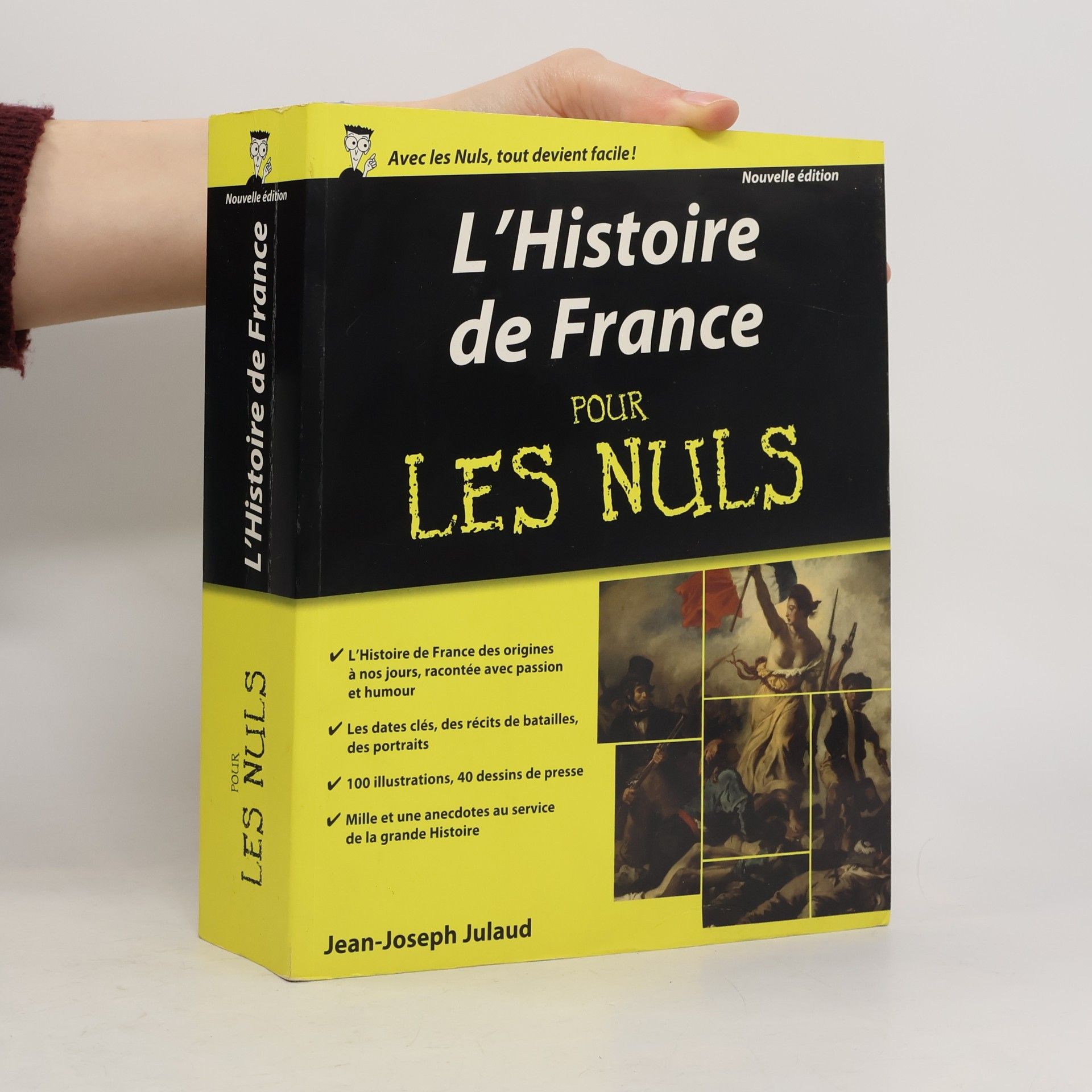 Jean-Joseph Julaud L'Histoire de France pour les Nuls - Nouvelle édition
