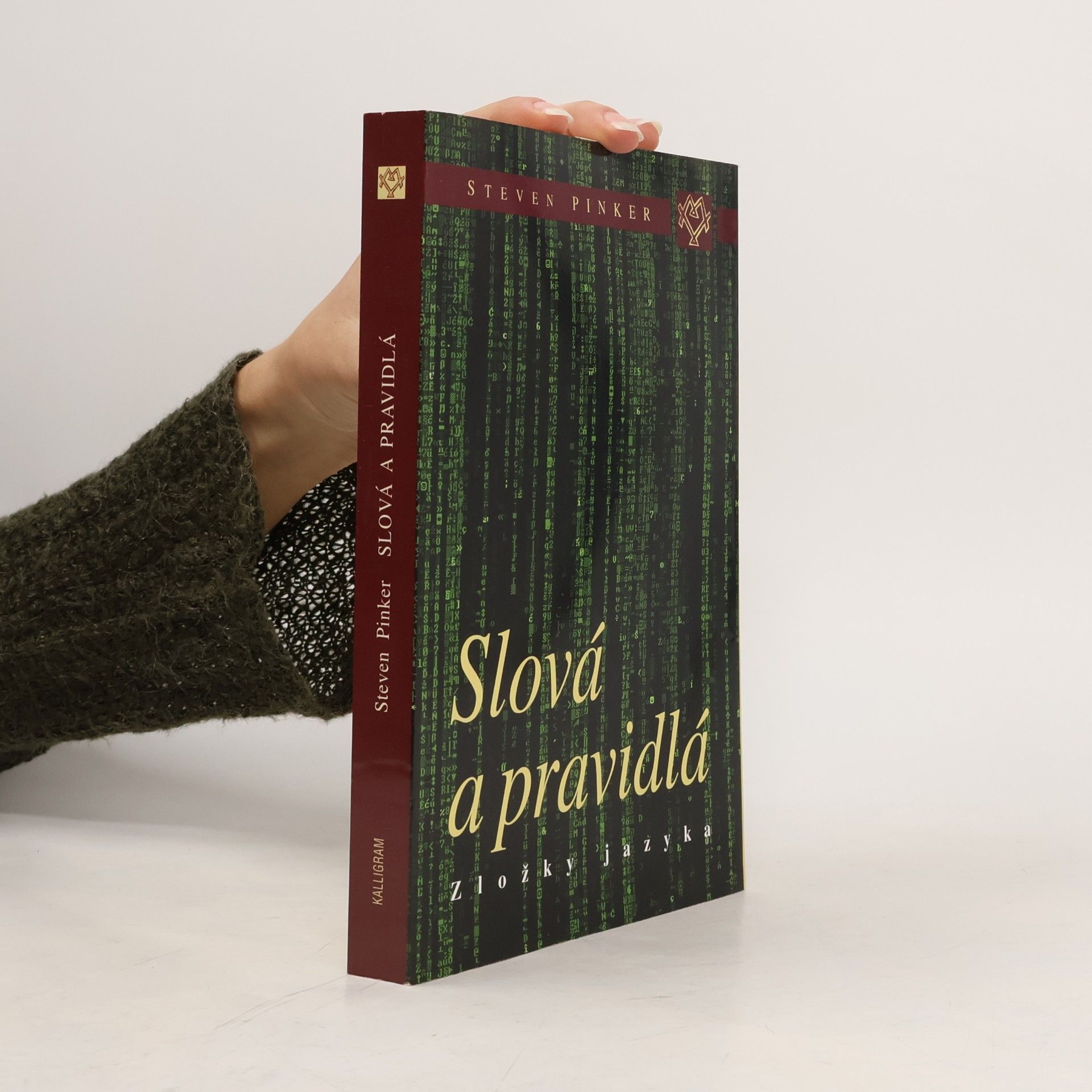 Slová a pravidlá : zložky jazyka