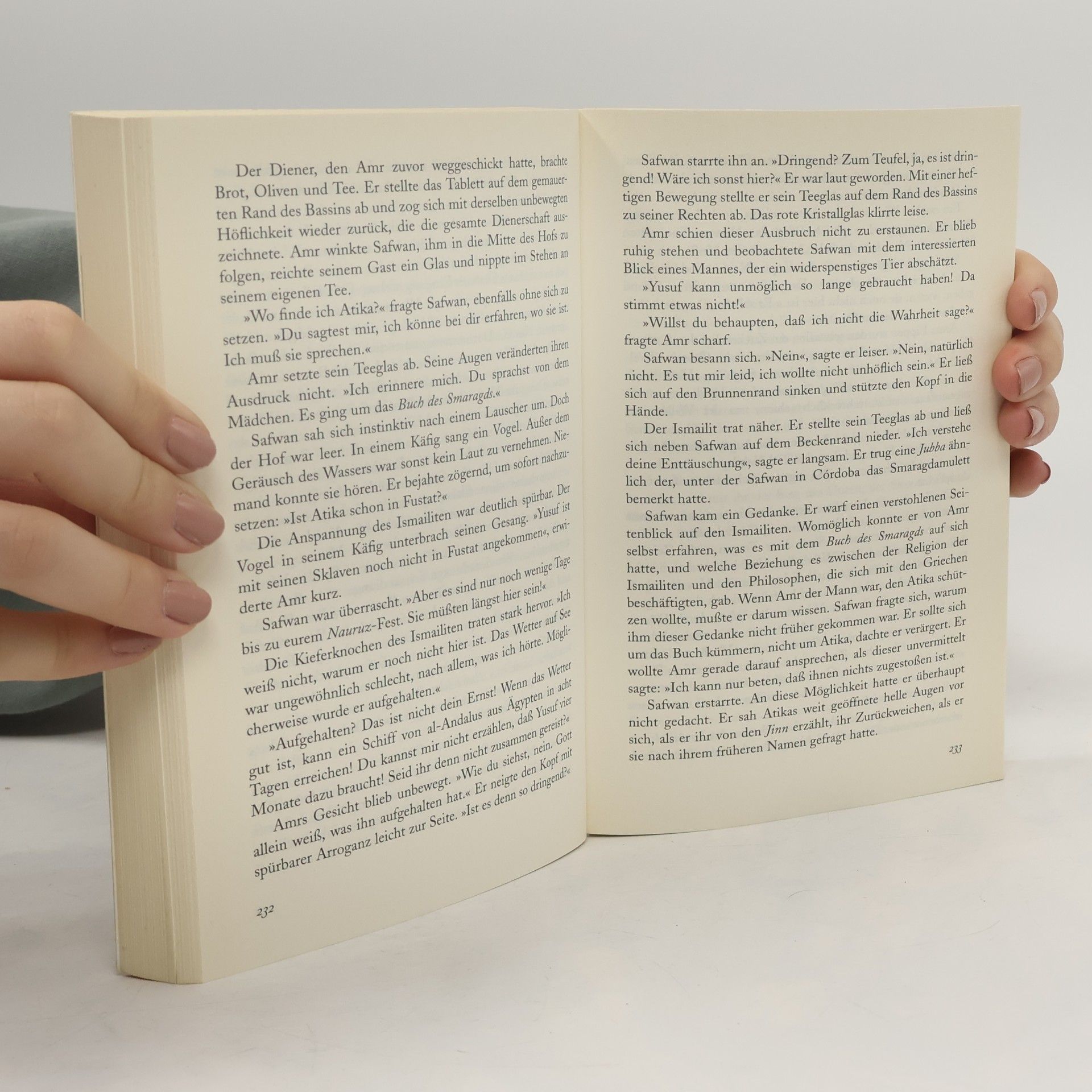 Agnes Imhof Das Buch des Smaragds