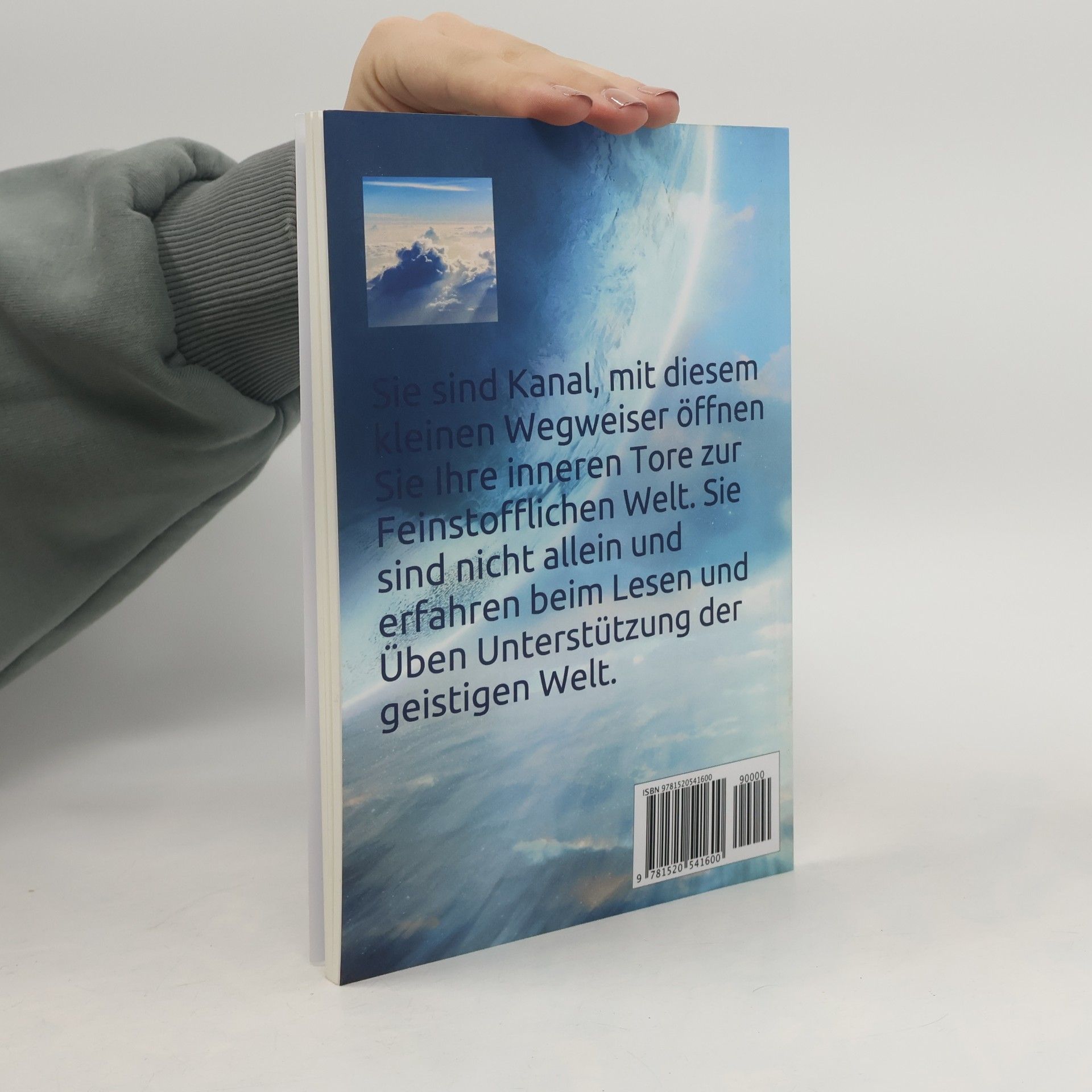 Elke Dullenkopf Du bist Kanal!