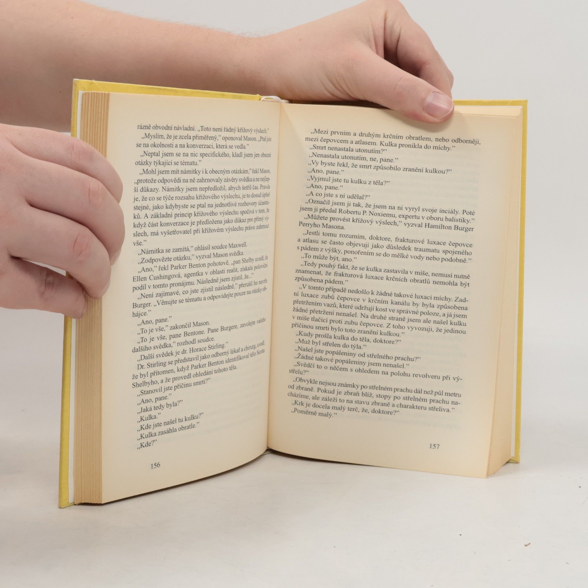 Erle Stanley Gardner Případ rozespalé ženy / Okresní prokurátor kácí les
