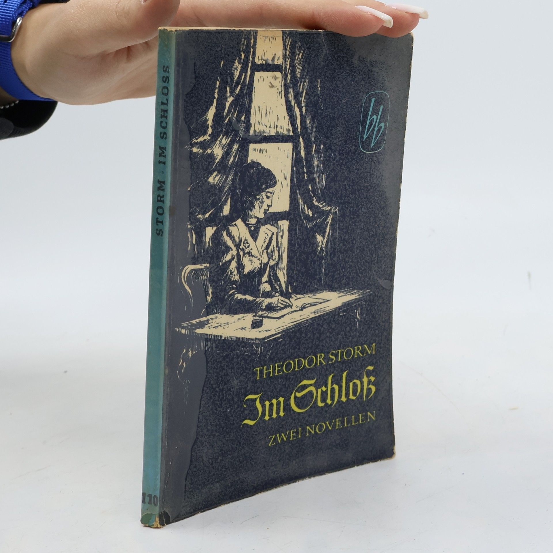 Hans Theodor Woldsen Storm Im Schloss (Zwei Novellen)