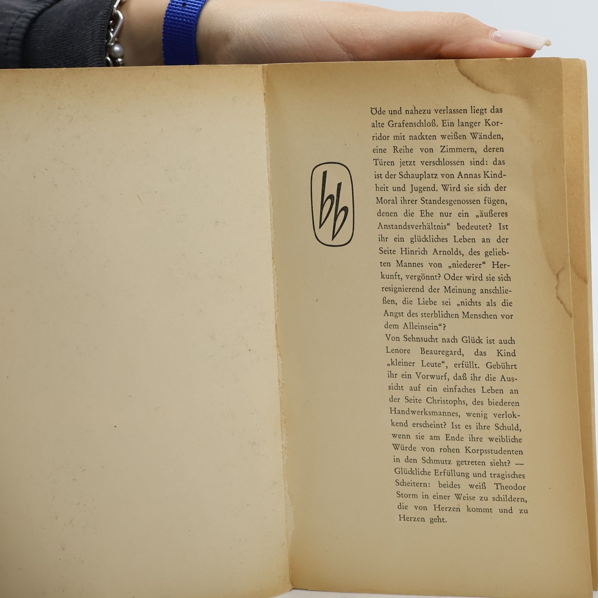 Hans Theodor Woldsen Storm Im Schloss (Zwei Novellen)