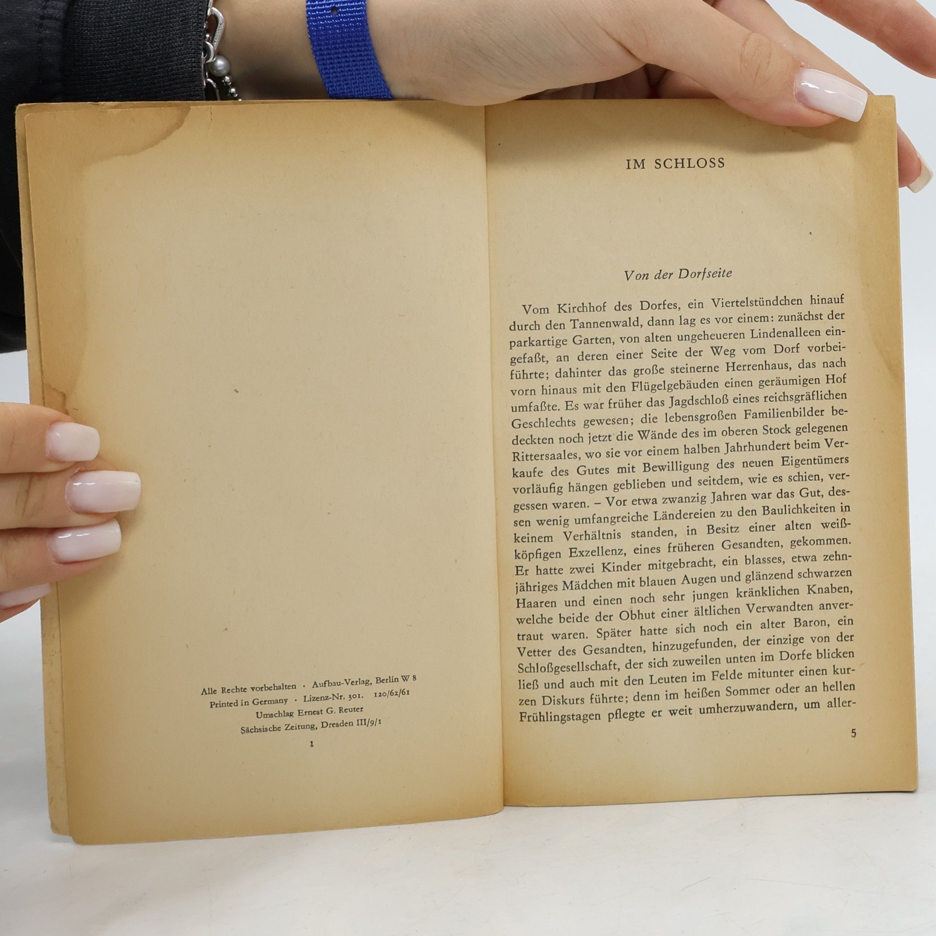 Hans Theodor Woldsen Storm Im Schloss (Zwei Novellen)