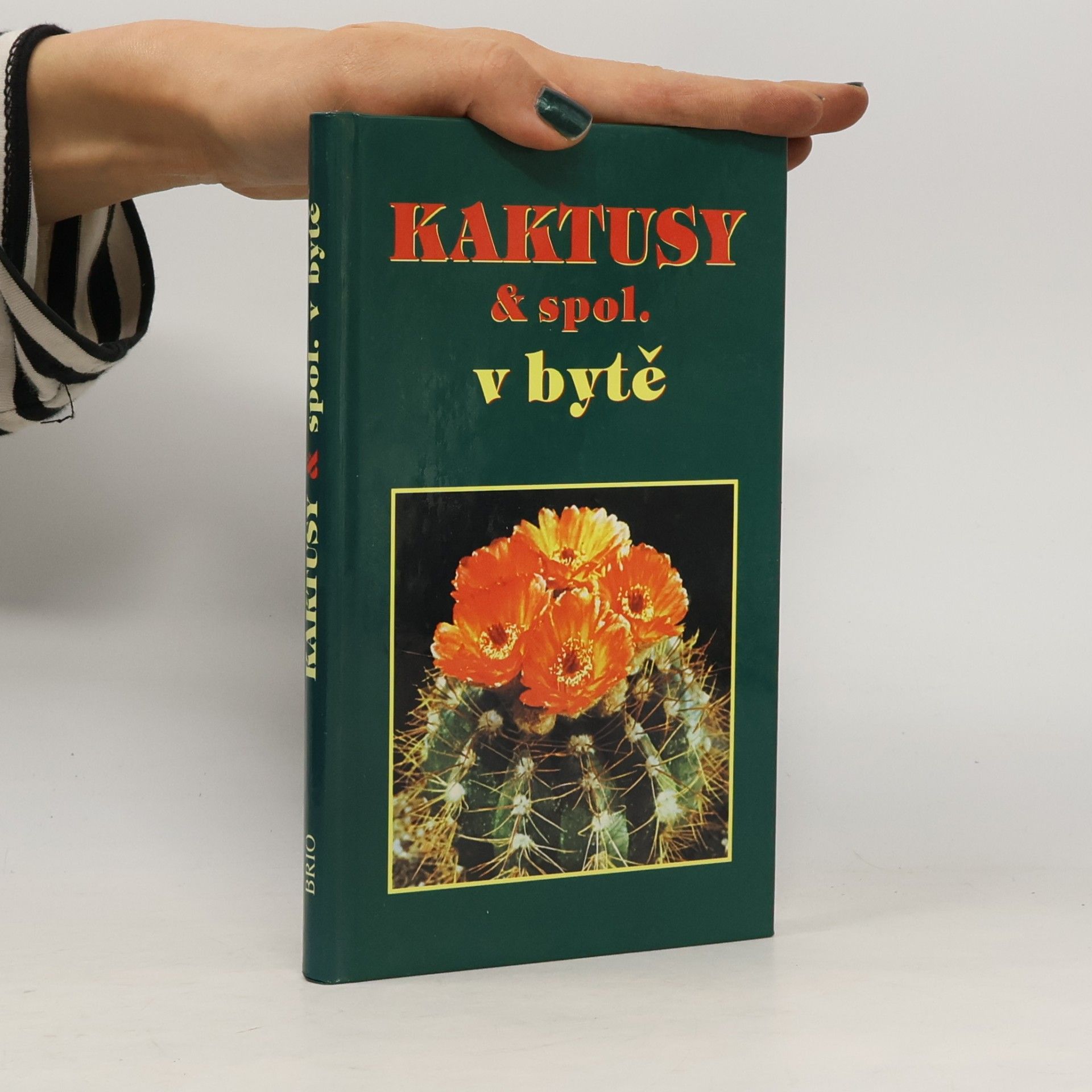 Kaktusy & spol. v bytě